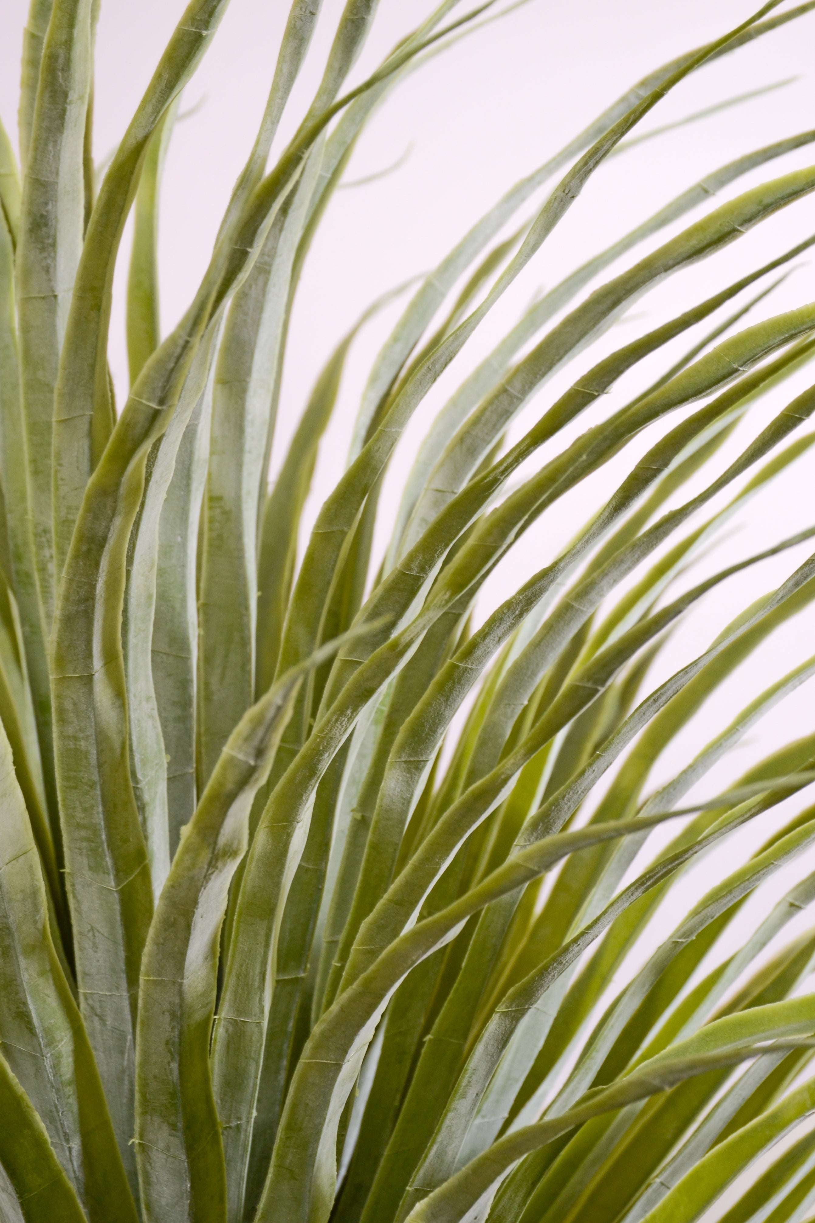 5.5Ft Artificial Pandanifolia Tree Grass Green/Beige