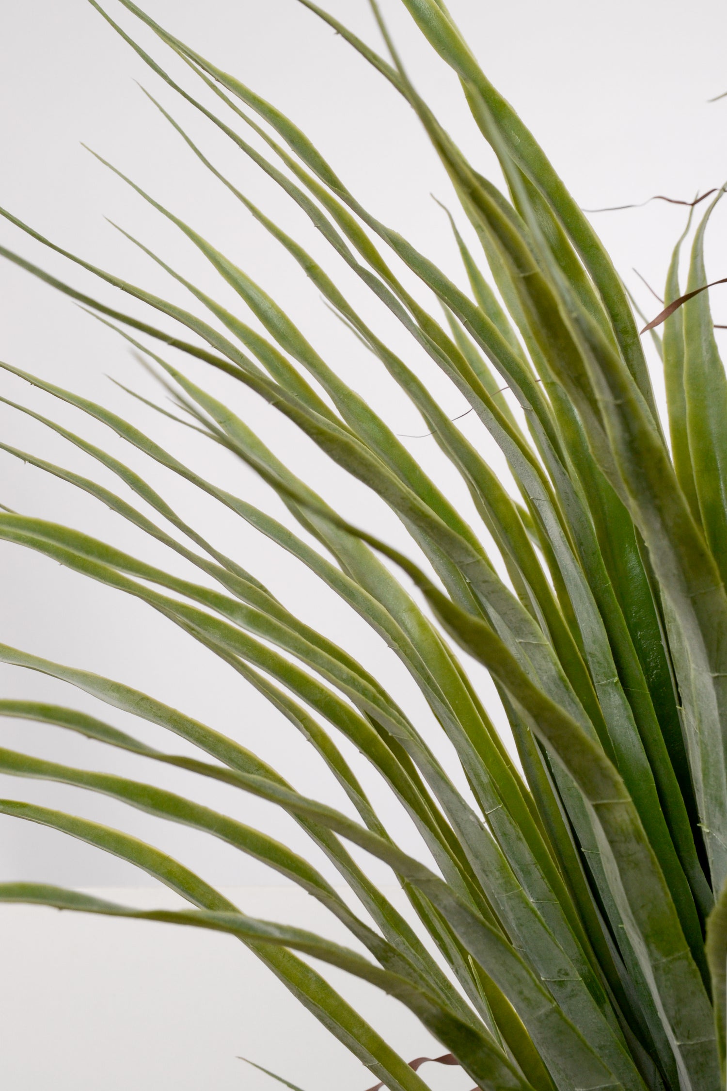 7Ft Artificial Pandanifolia Tree Grass Green/Beige
