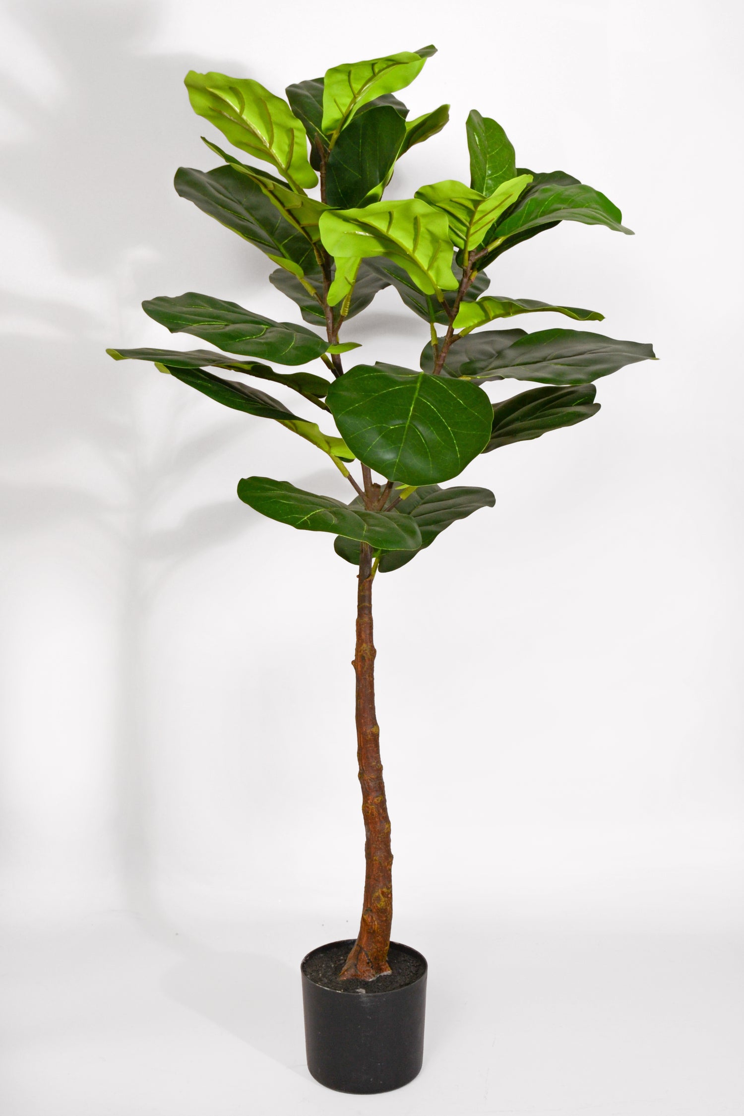 47" Fiddle Leaf Tree In Pot Green
