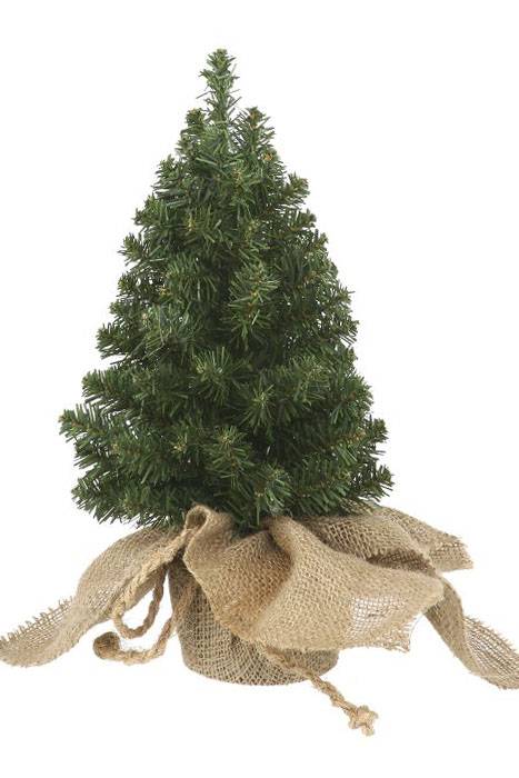 13" X 7" Canadian Pine Tree Wrapped In Burlap Green
