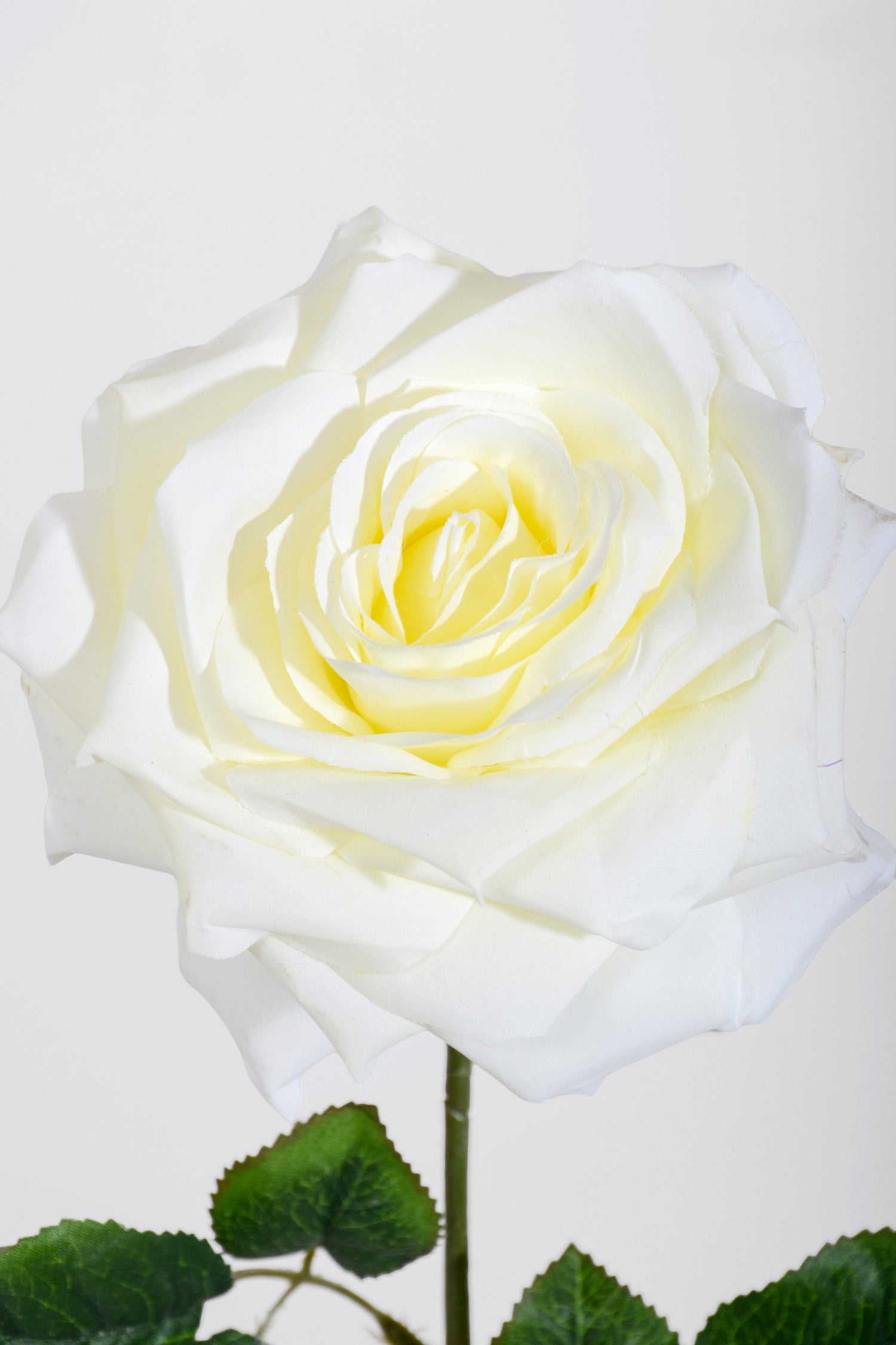 20" Silk Open Rose Spray Cream