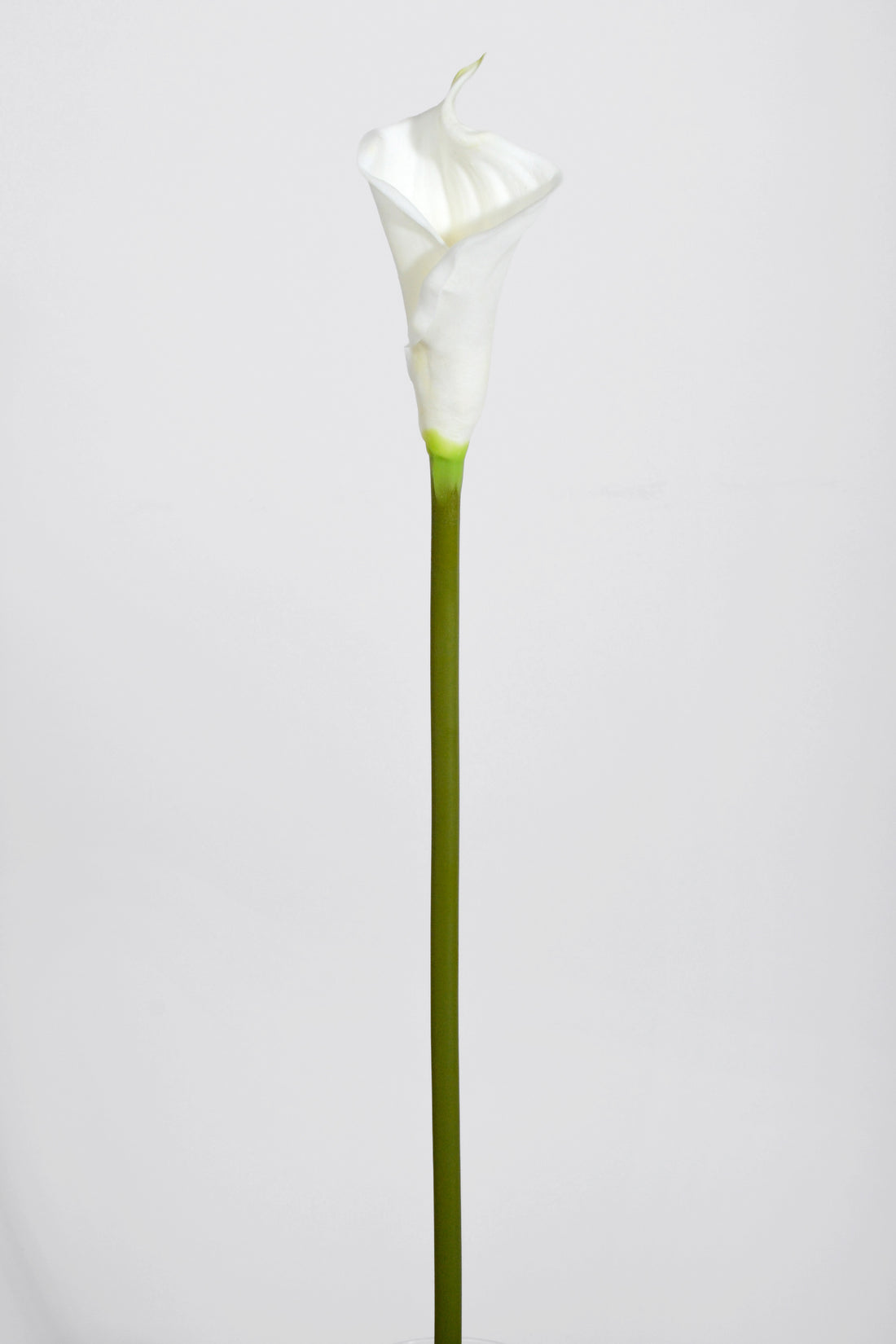 25.5" Artificial Calla Lily Spray White
