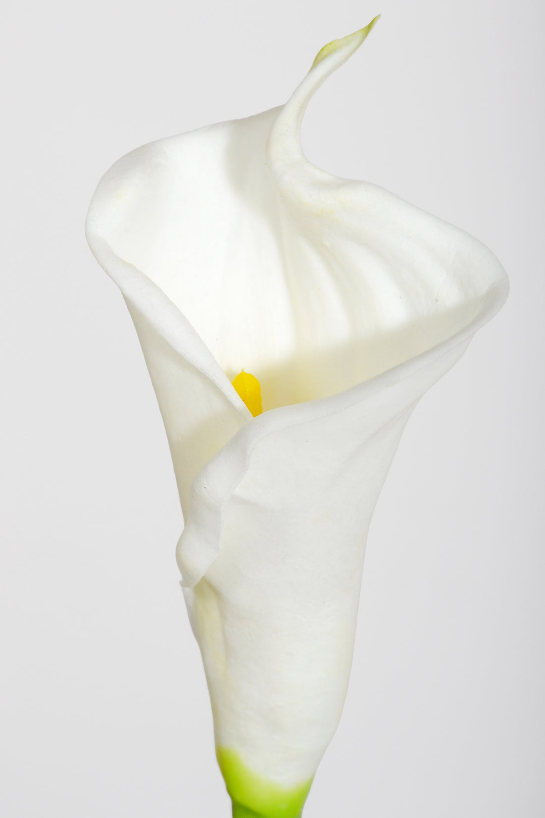 25.5" Artificial Calla Lily Spray White