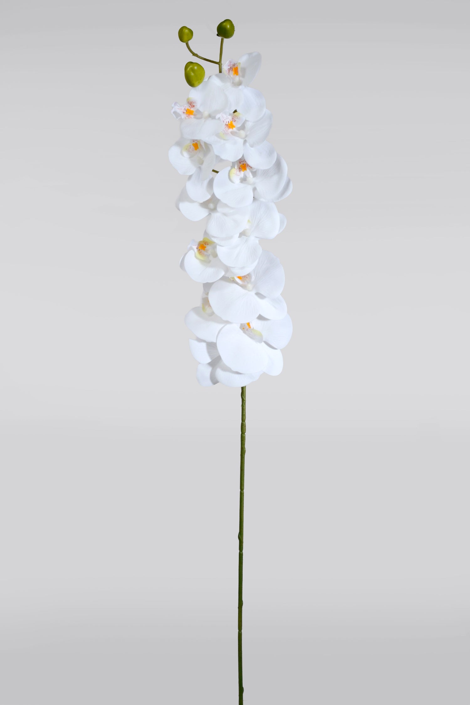 43" Silk Phalaenopsis Spray White