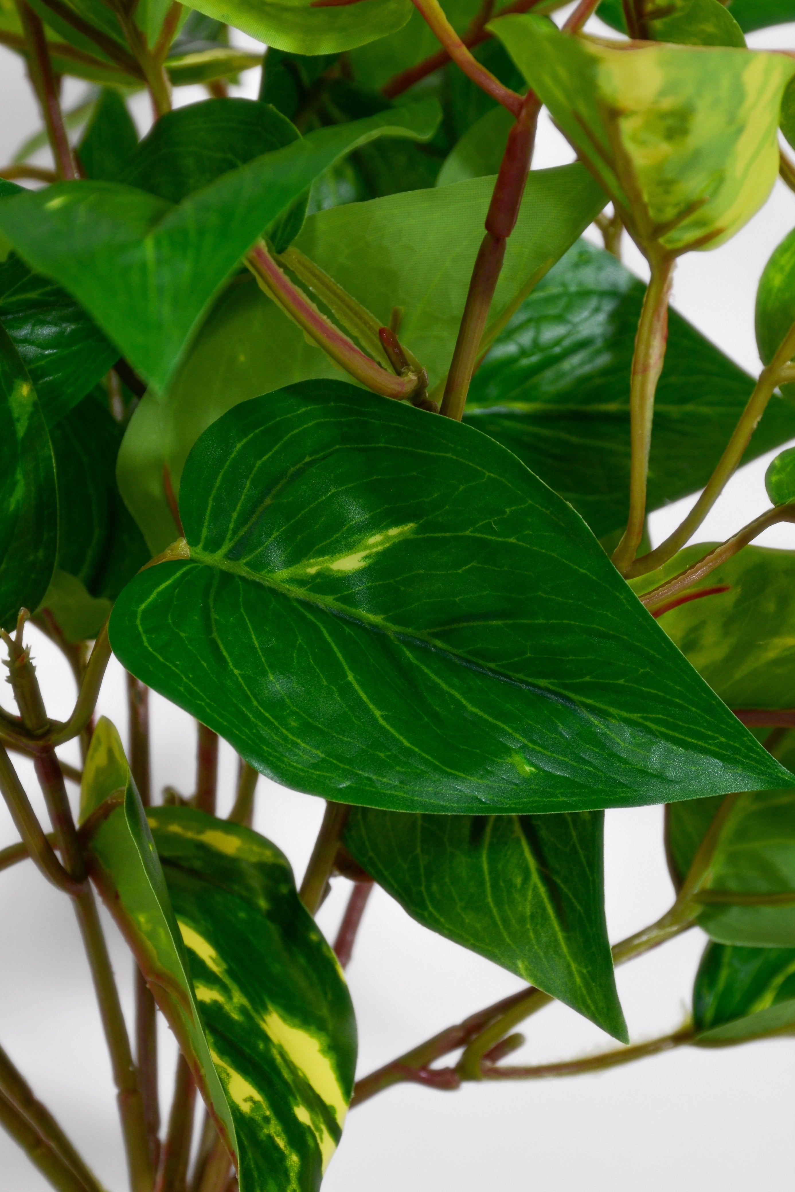 19"Uv Protected Pvc Potho Leaf Bush Green/White