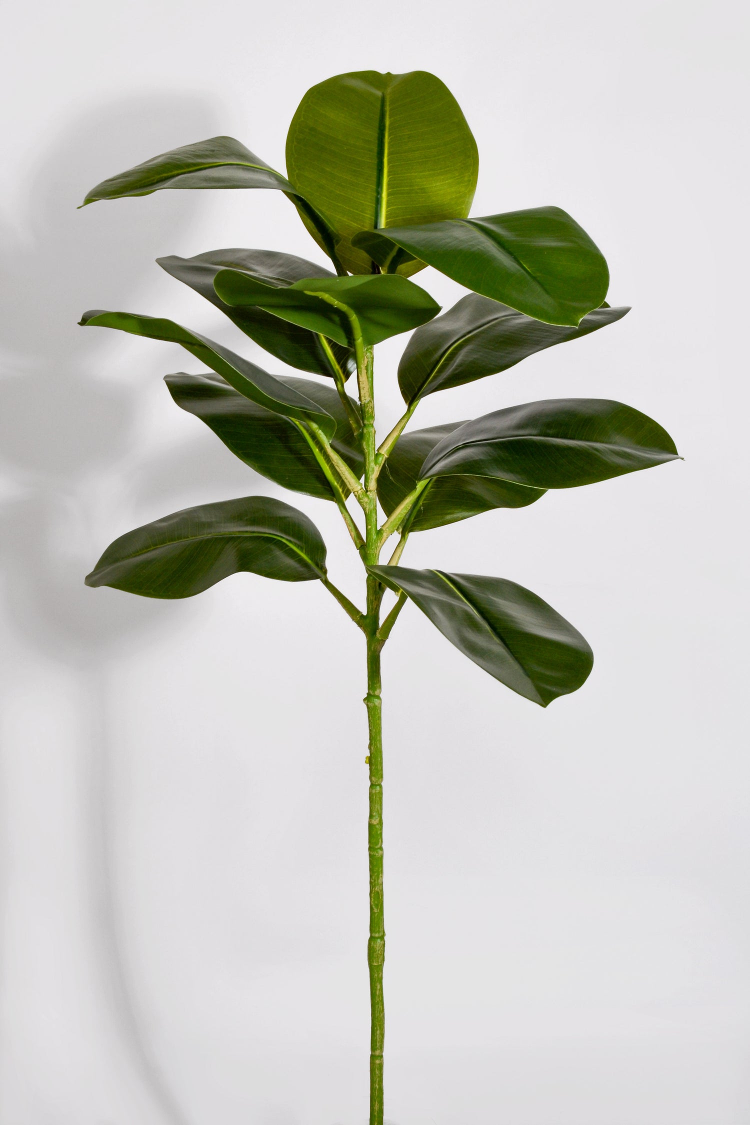 33.5" Artificial Magnolia Leaf Spray Green