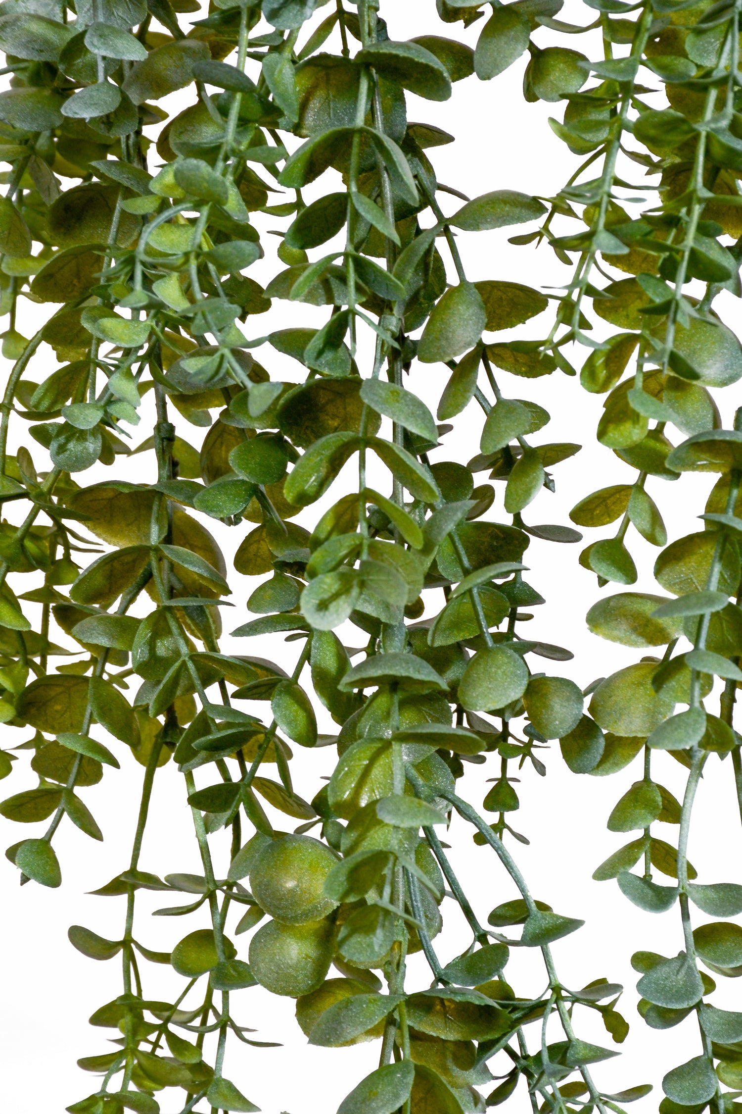 33.5" Uv Artificial Hanging Eucalyptus Bush Green