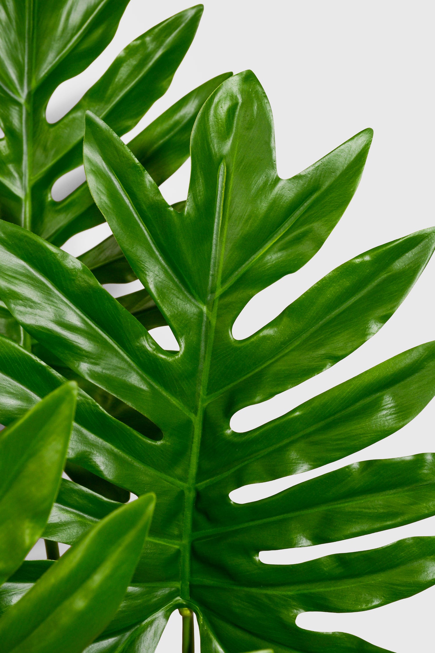 33.5" Artificial Selloum Leaf Bush Green