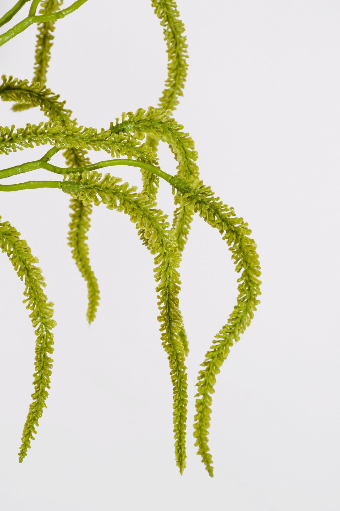 31.5" Artificial Amaranthus Hanging Spray Green