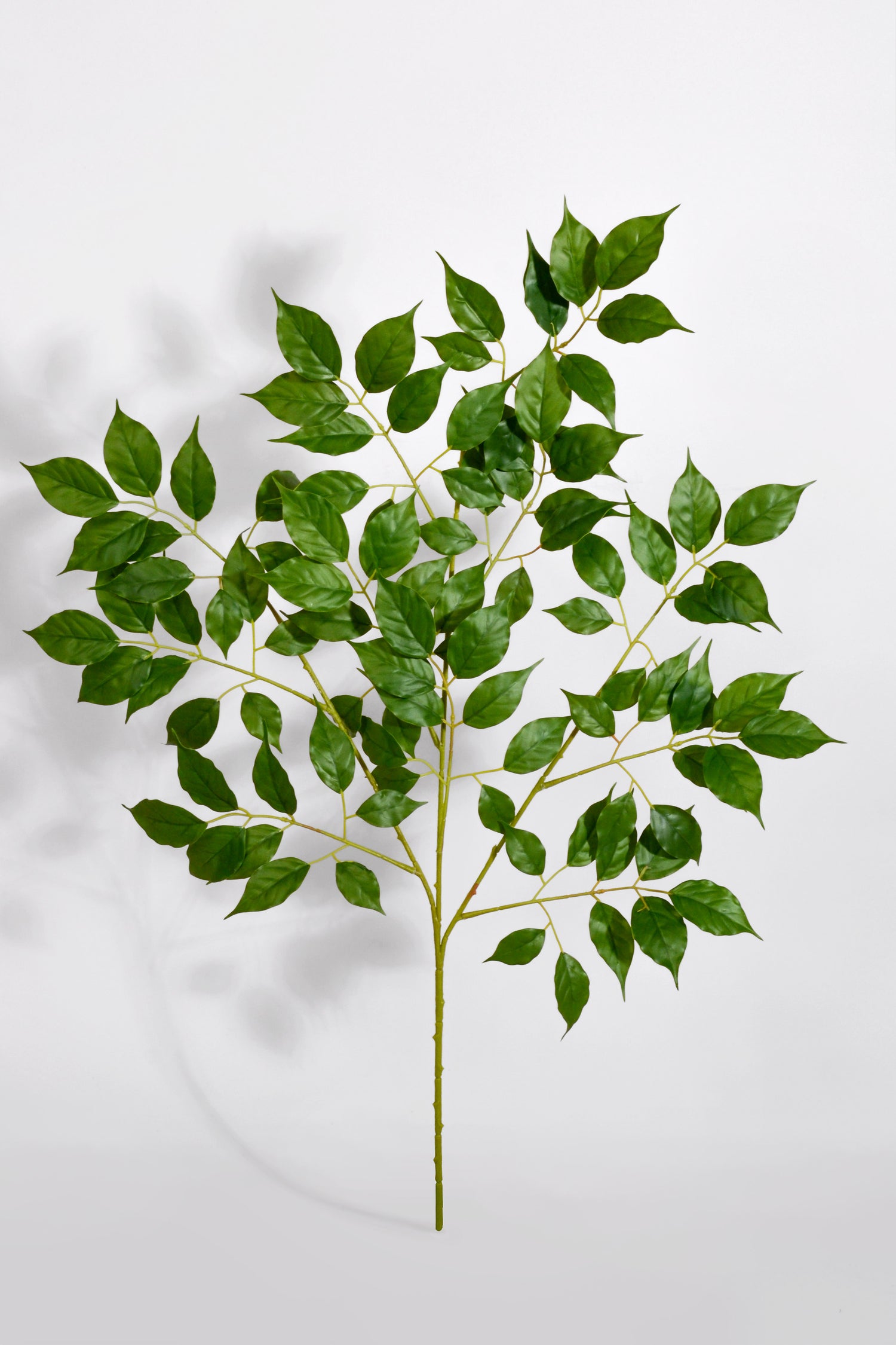 26.5" Artificial Aralia Elata Leaf Spray Green