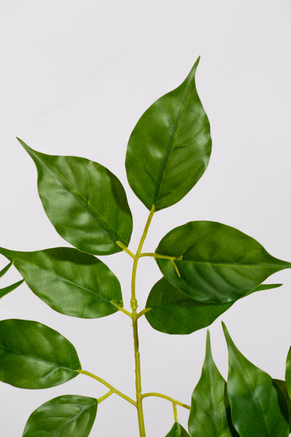 26.5" Artificial Aralia Elata Leaf Spray Green