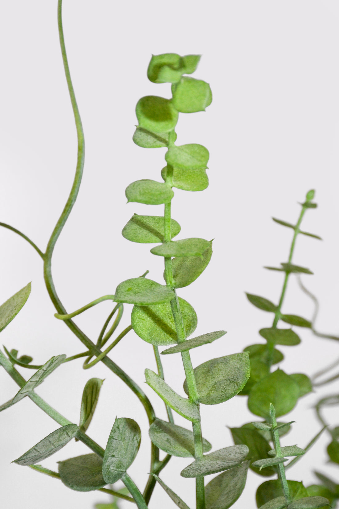23.5" Uv Artificial Eucalyptus Bush Green