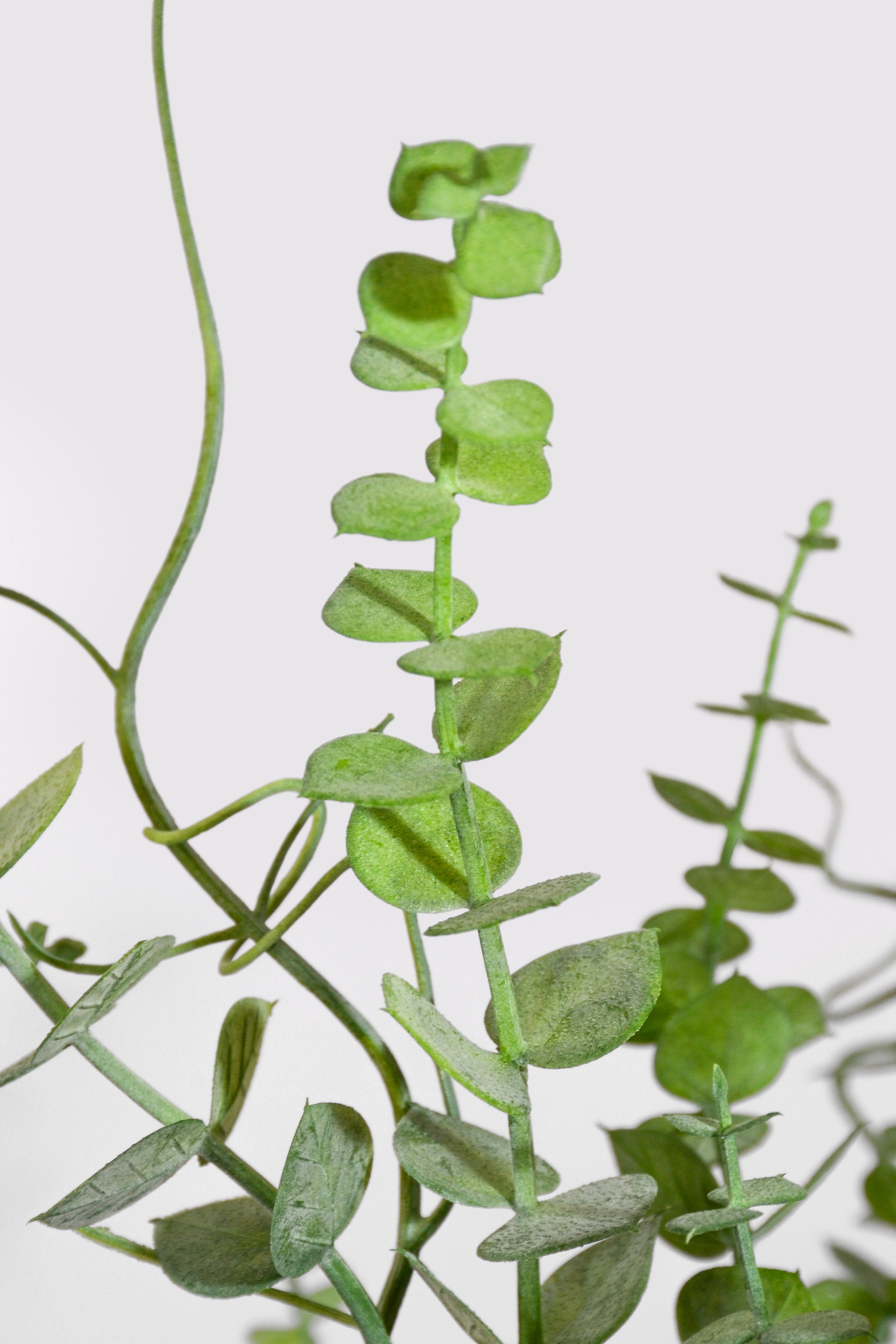 23.5" Uv Artificial Eucalyptus Bush Green
