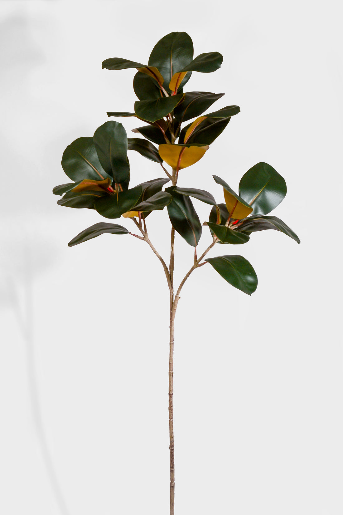 56.3" Artificial Magnolia Leaf Spray Green/Brown