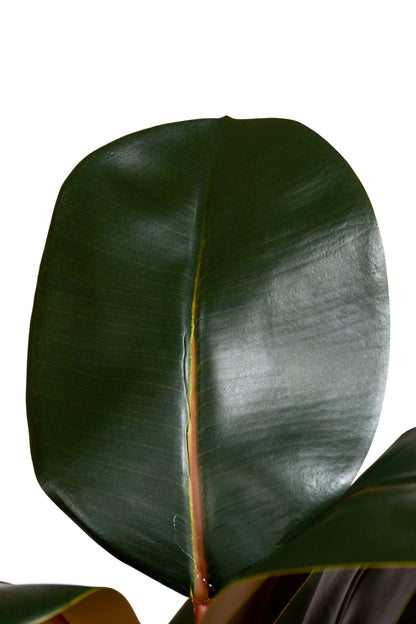 56.3" Artificial Magnolia Leaf Spray Green/Brown