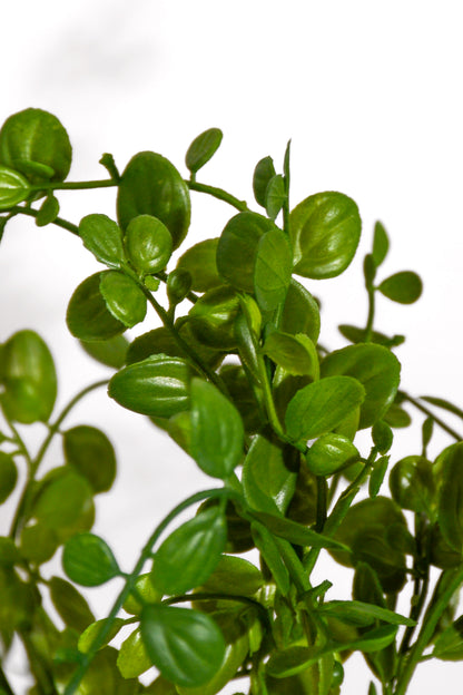 14.5" Uv Artificial Common Rue Bush Green