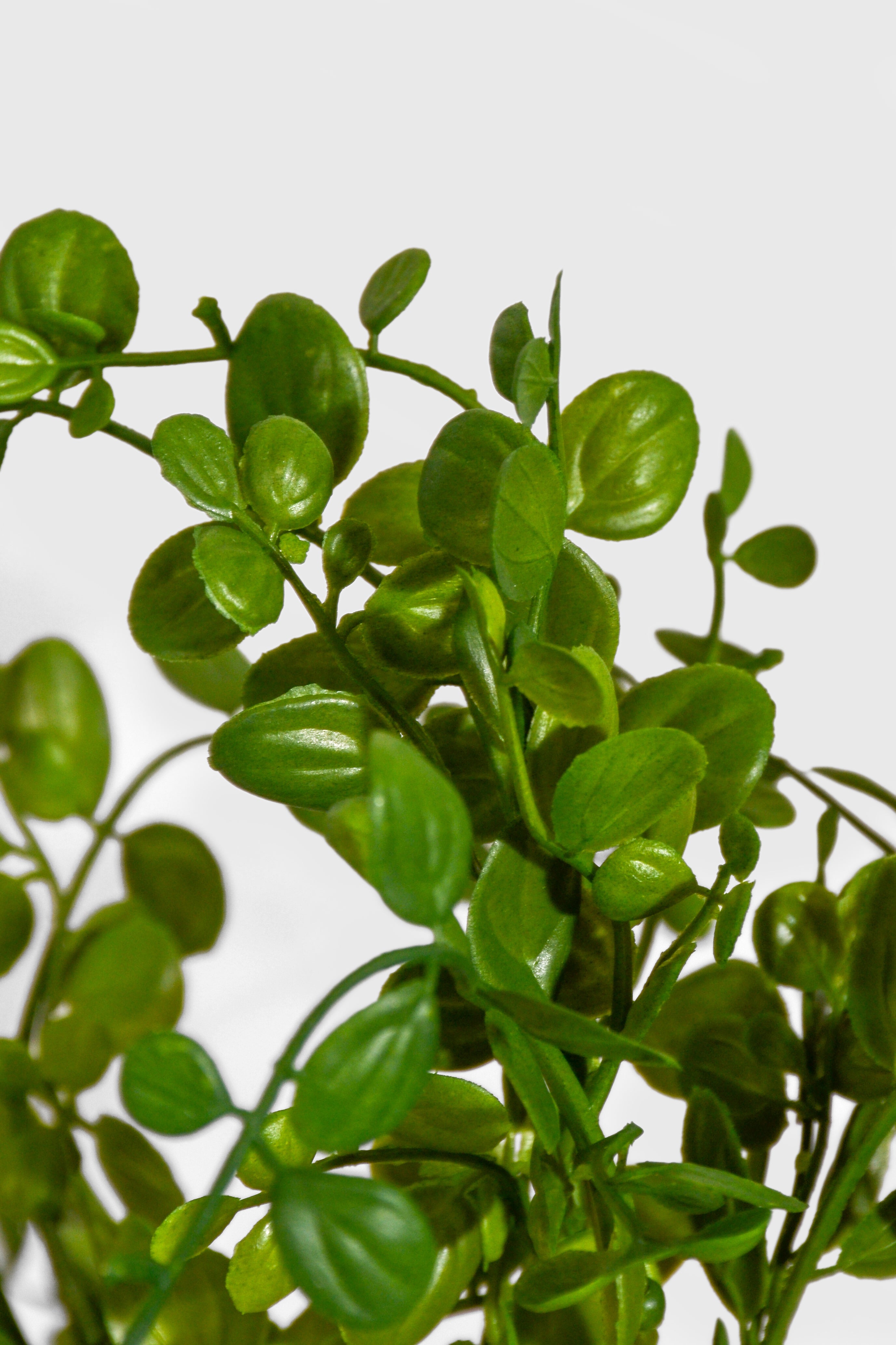 14.5" Uv Artificial Common Rue Bush Green