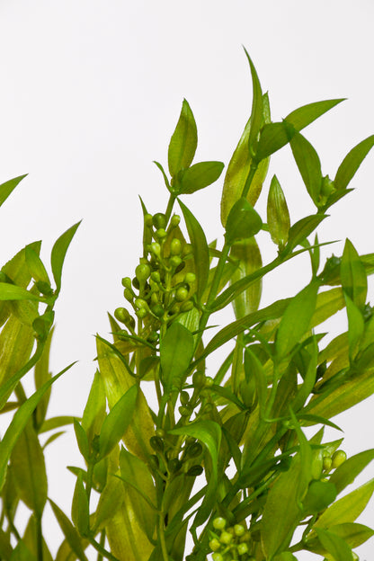 15" Uv Artificial Ruscus Bush Green