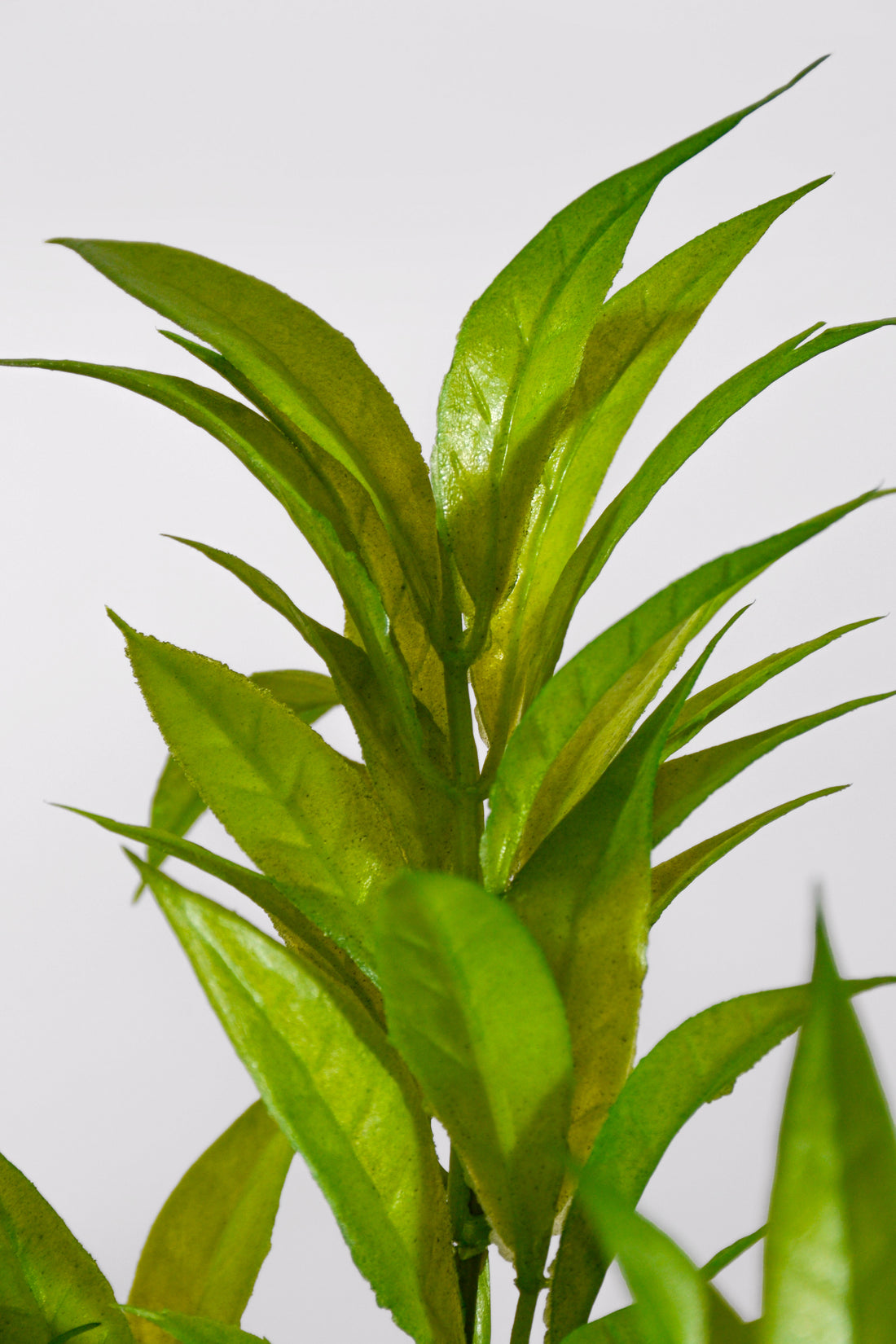 14" Uv Artificial Eucalipto Bush Green
