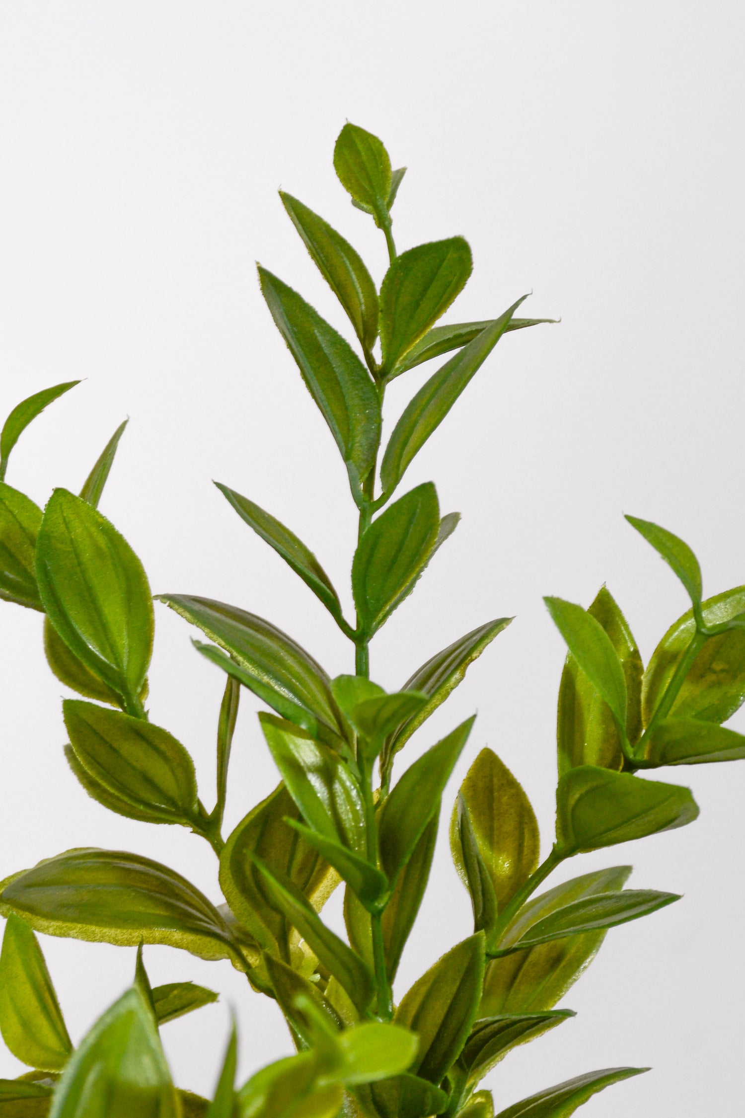14" Uv Artificial Ruscus Bush Green