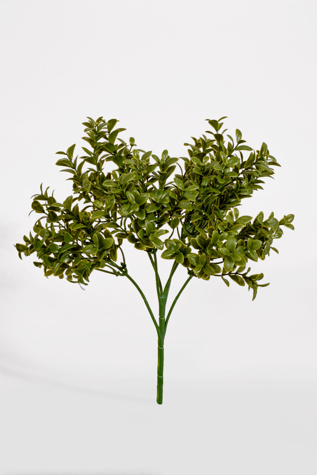 10" Uv Artificial Boxwood Bush Green