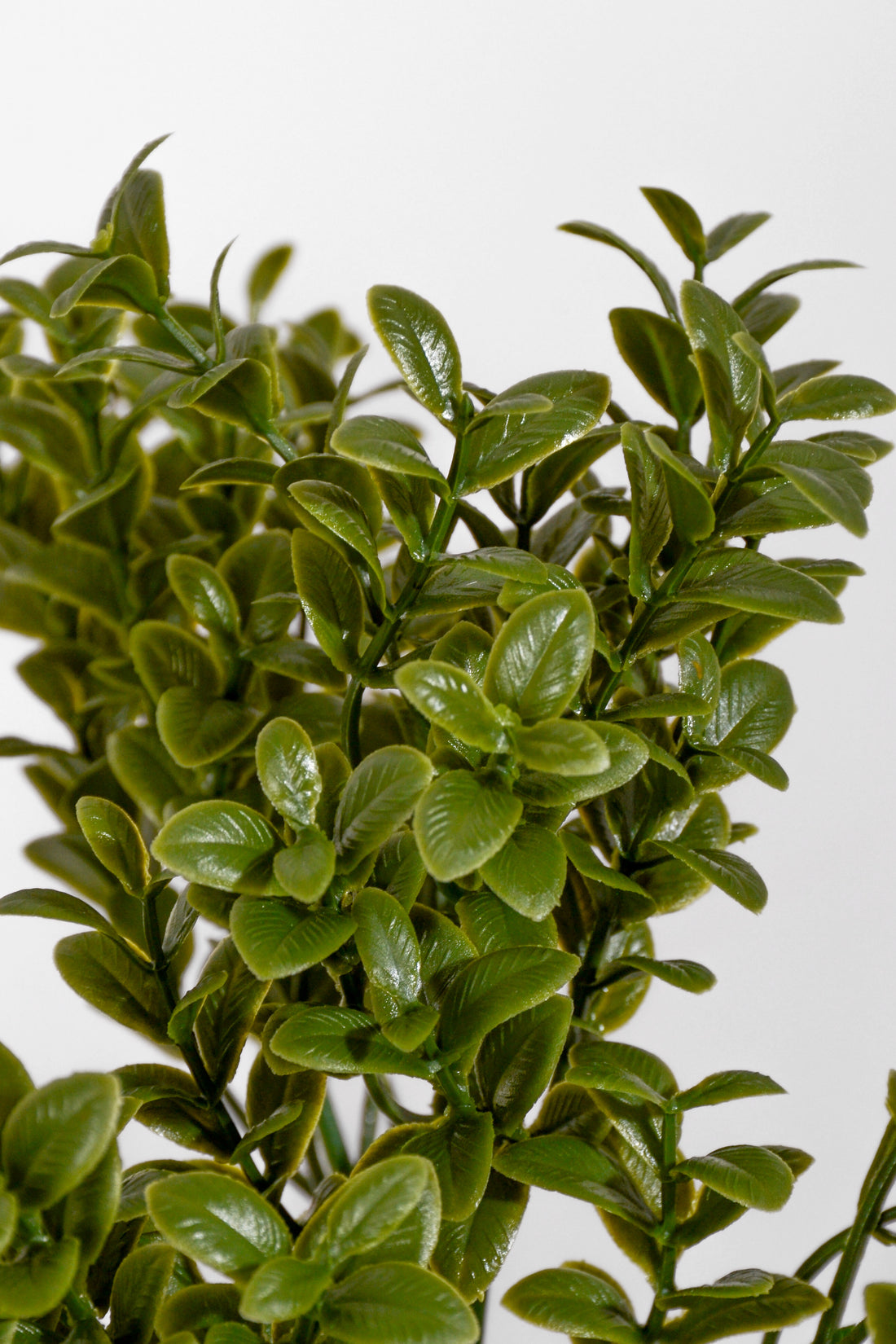 10" Uv Artificial Boxwood Bush Green