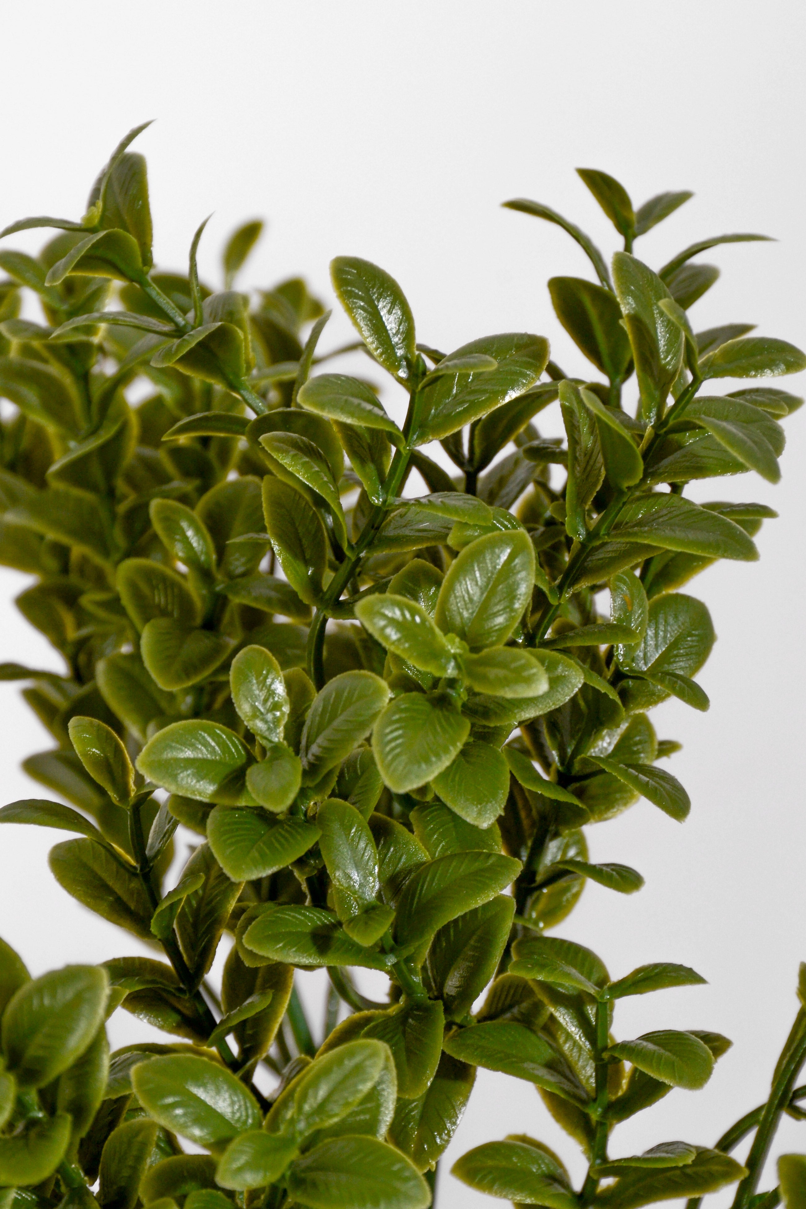 10" Uv Artificial Boxwood Bush Green