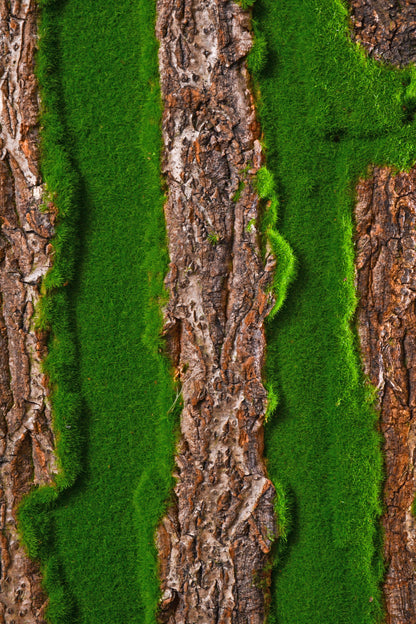 19.3" X 38.6" Bark Sheet W/Moss Green