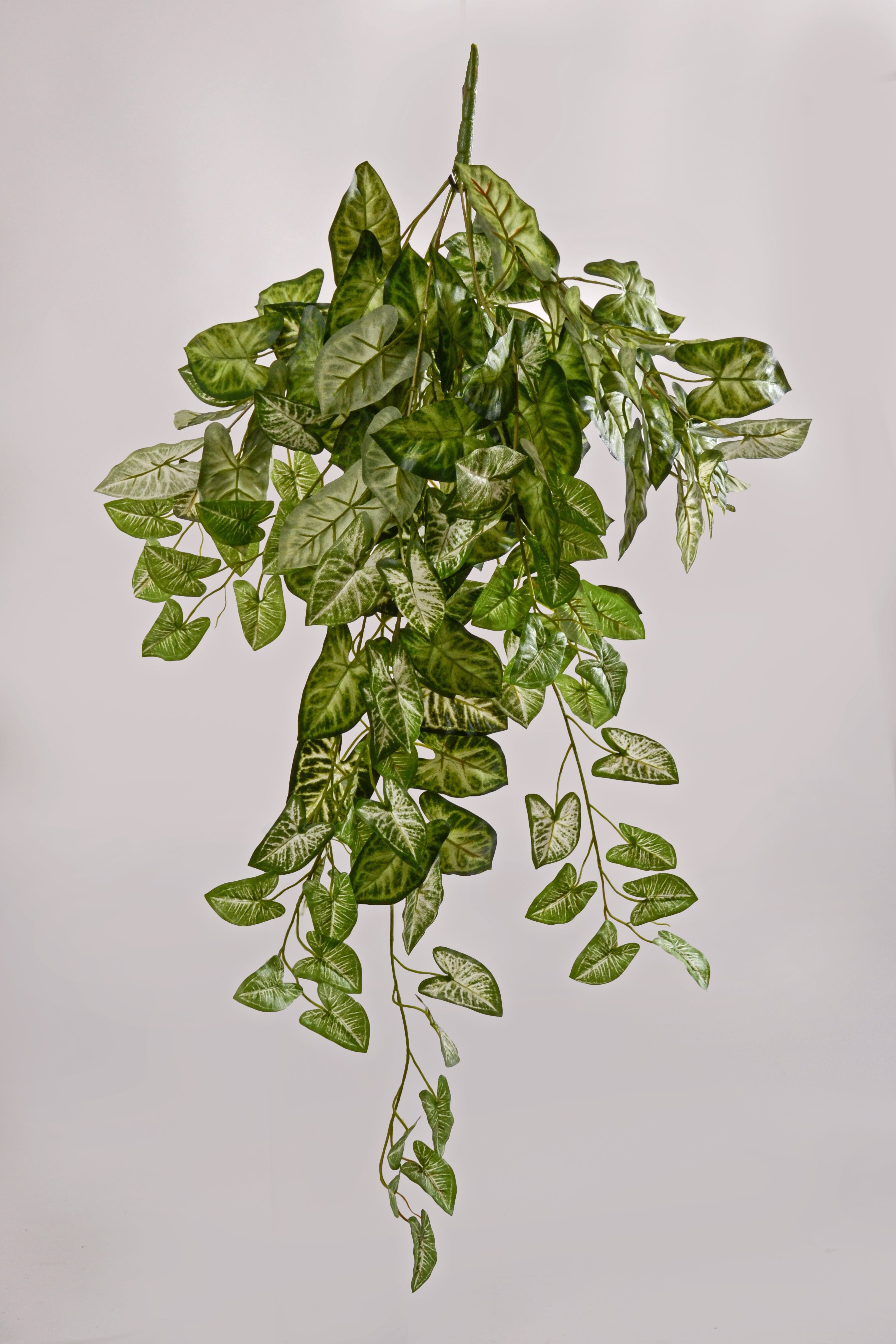 36" Artificial Hanging Nephtytis Bush Green