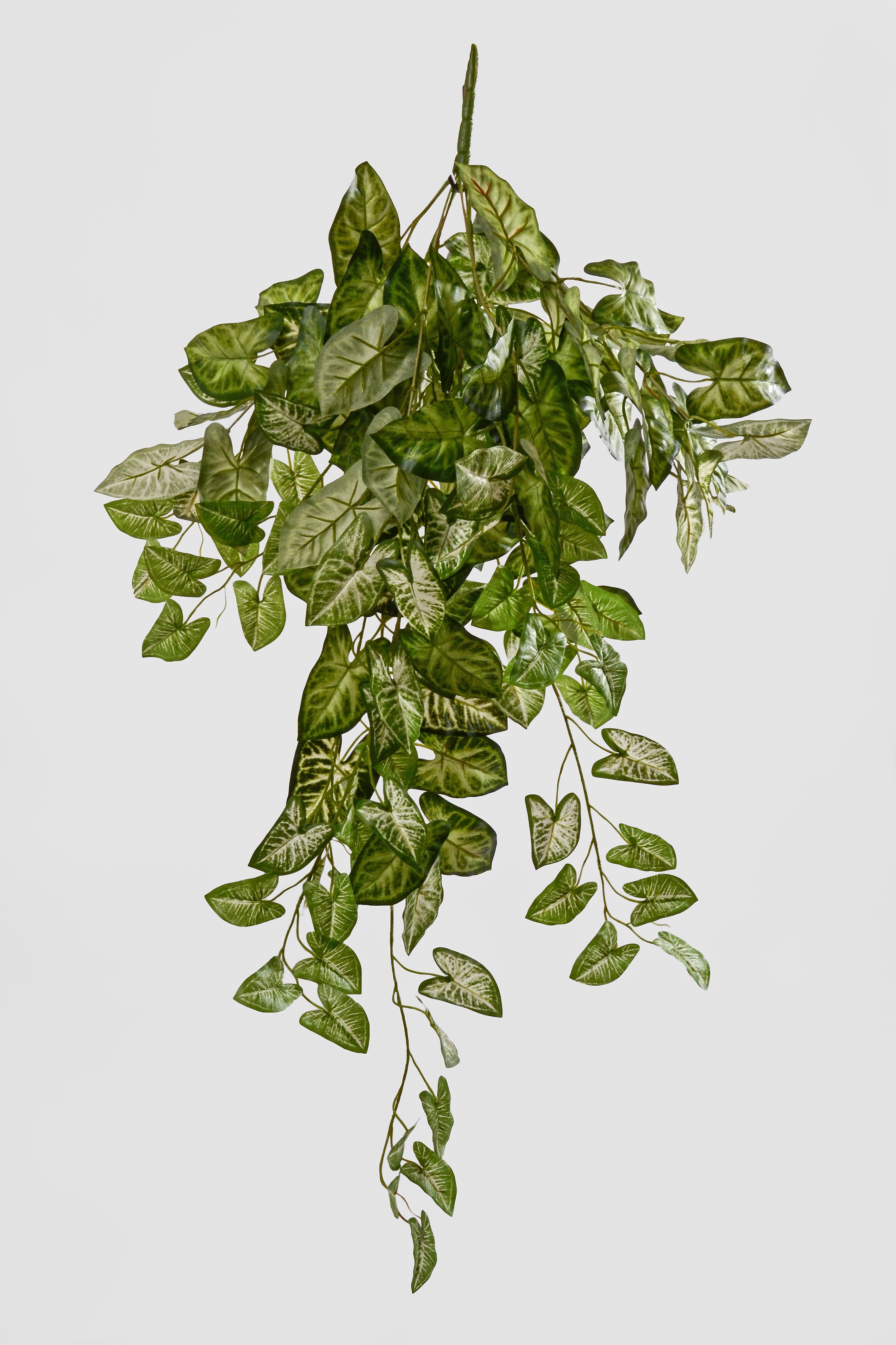 36" Artificial Hanging Nephtytis Bush Green