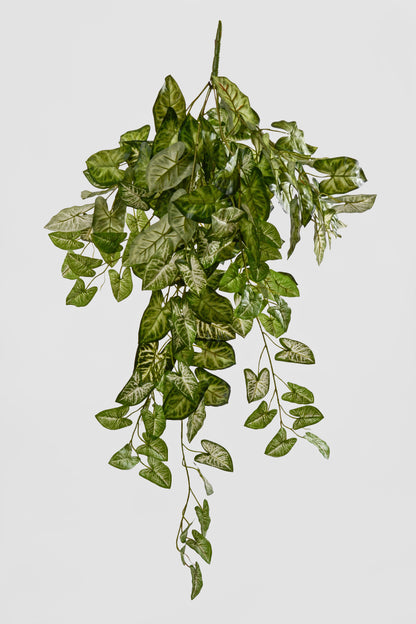 36" Artificial Hanging Nephtytis Bush Green