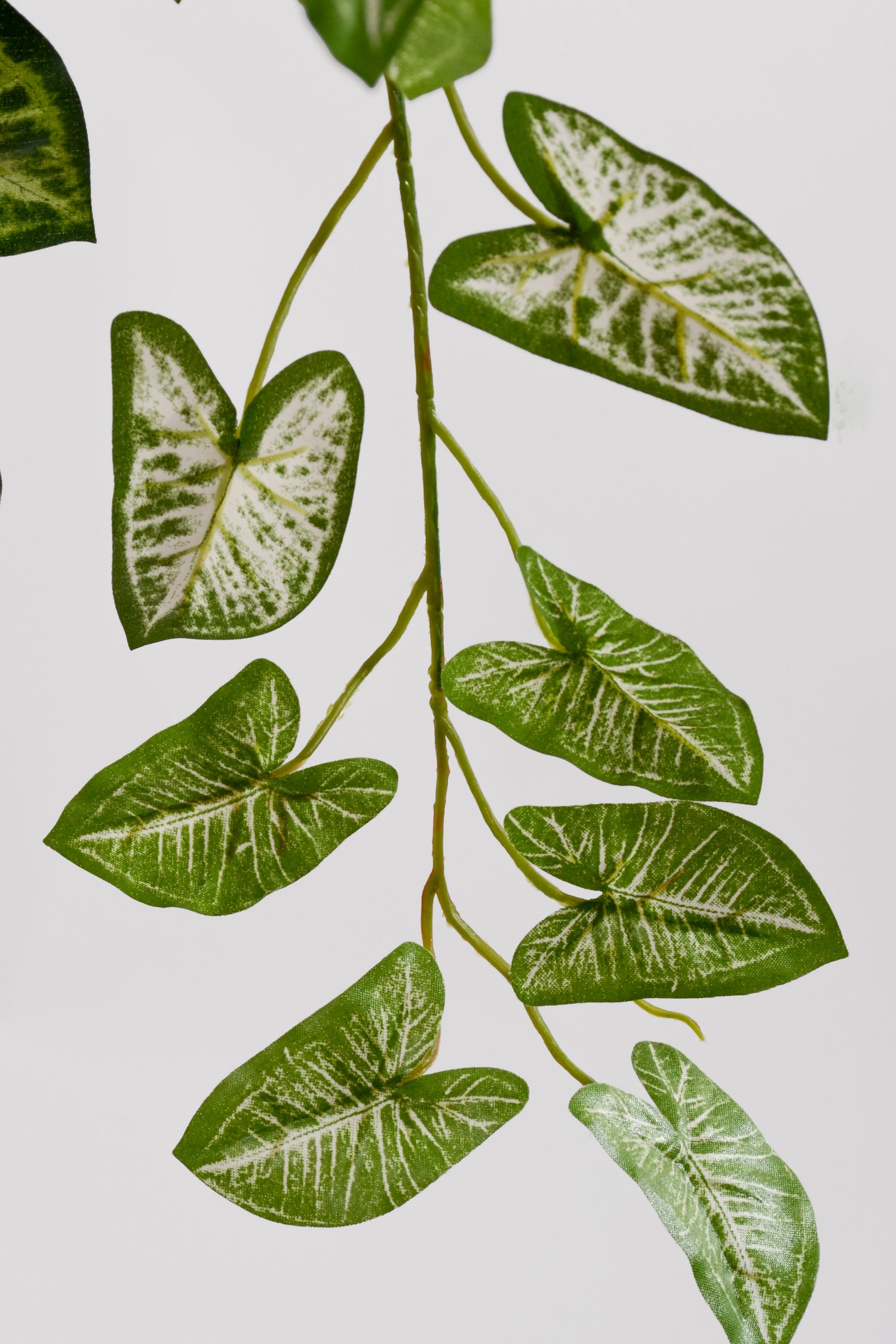 36" Artificial Hanging Nephtytis Bush Green