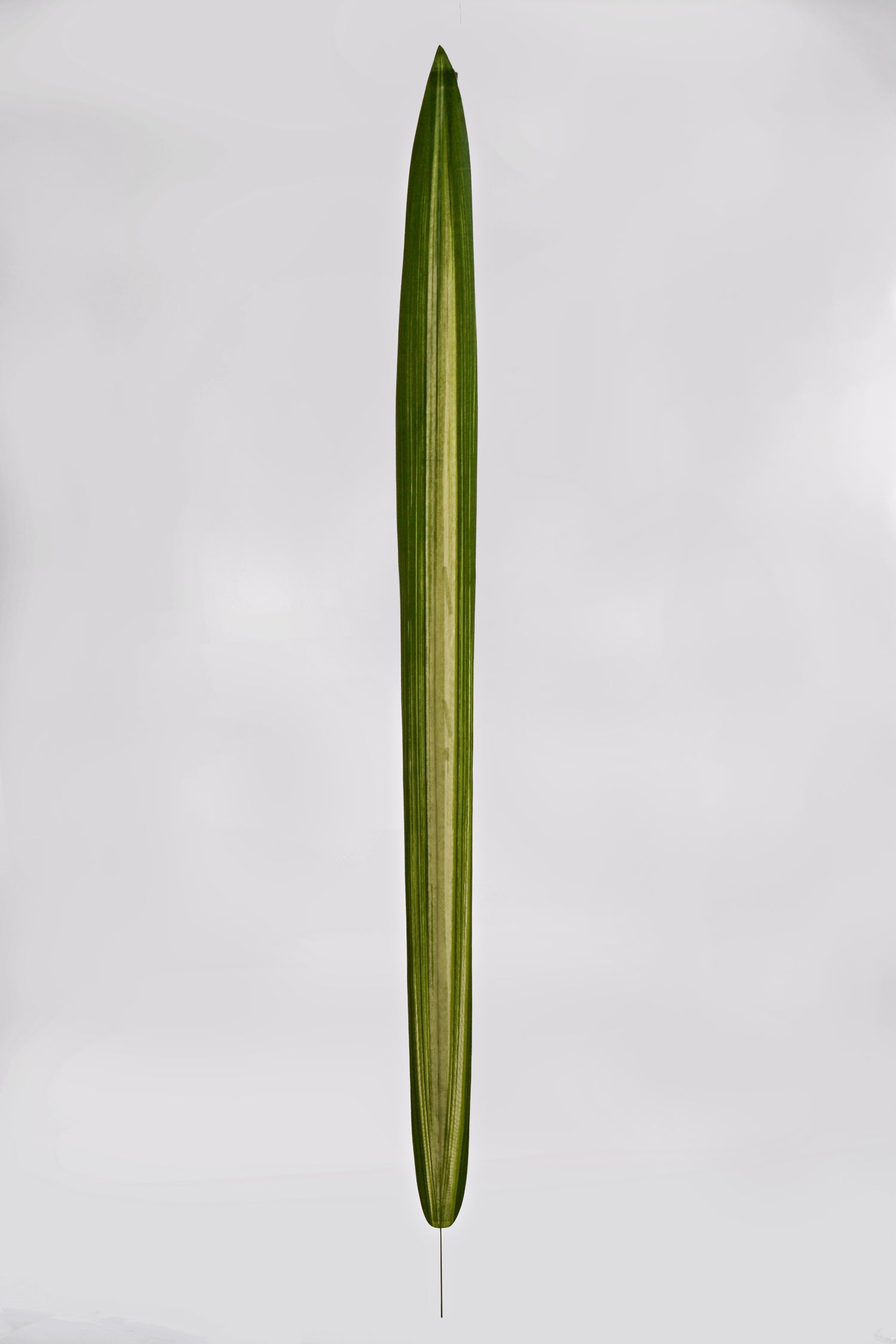 46" Artificial Large Carex Leaf Spray Green