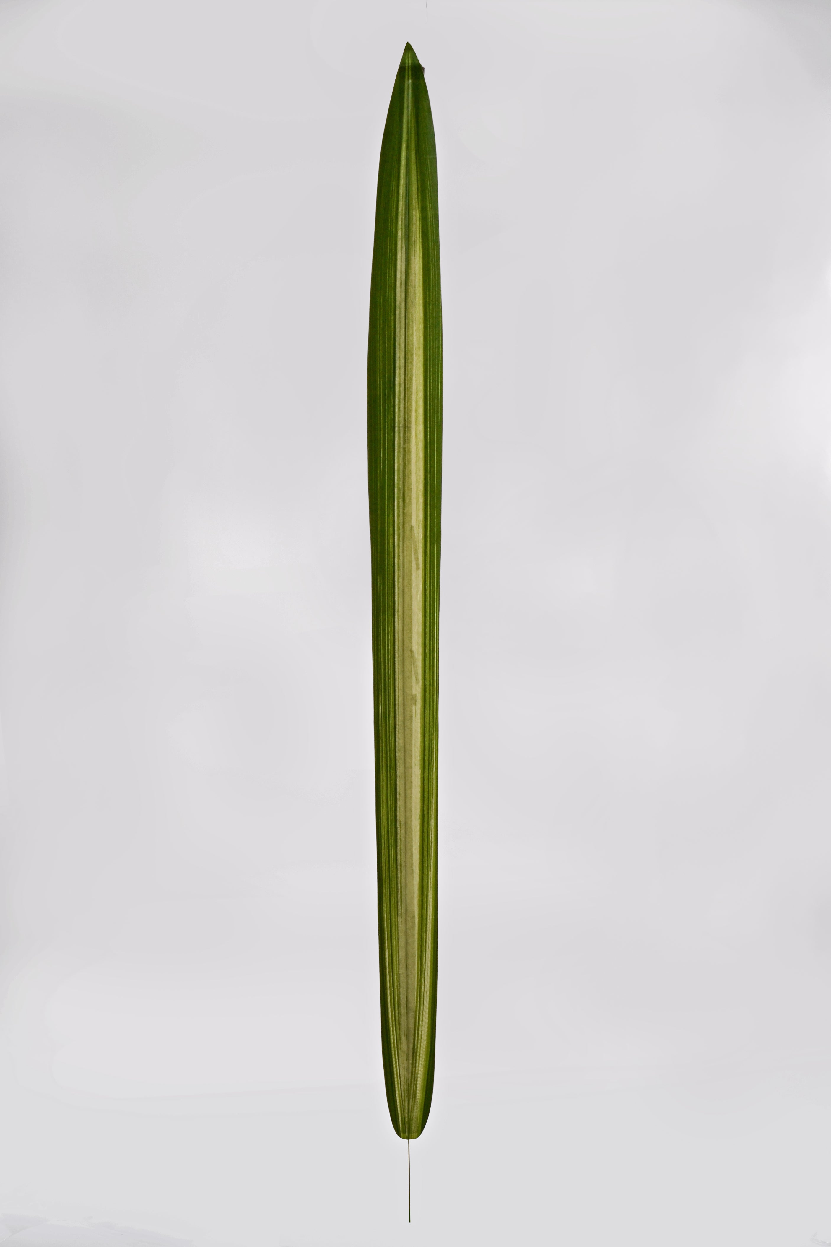 46" Artificial Large Carex Leaf Spray Green