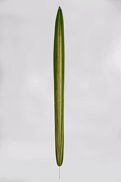 46" Artificial Large Carex Leaf Spray Green