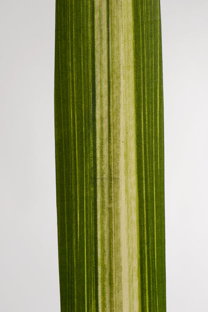 46" Artificial Large Carex Leaf Spray Green