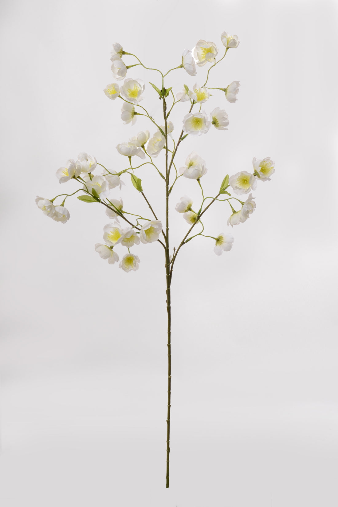 32" Silk Baby Buttercup Spray Cream