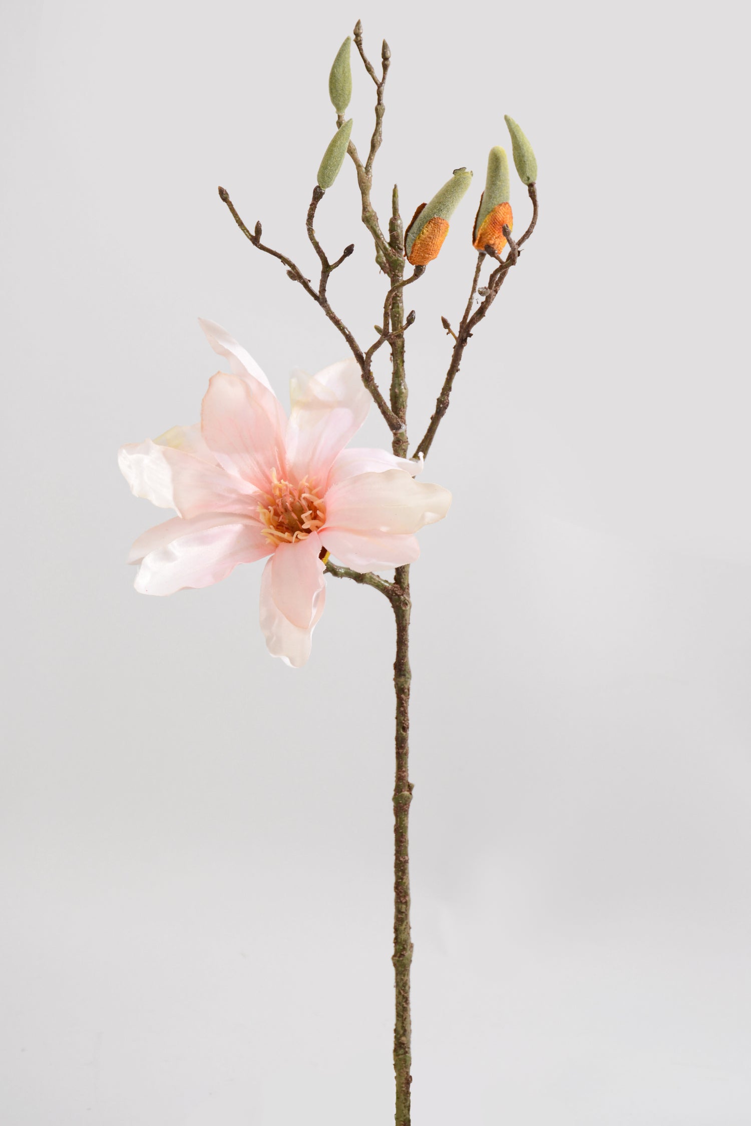 19" Silk Star Magnolia Spray Blush