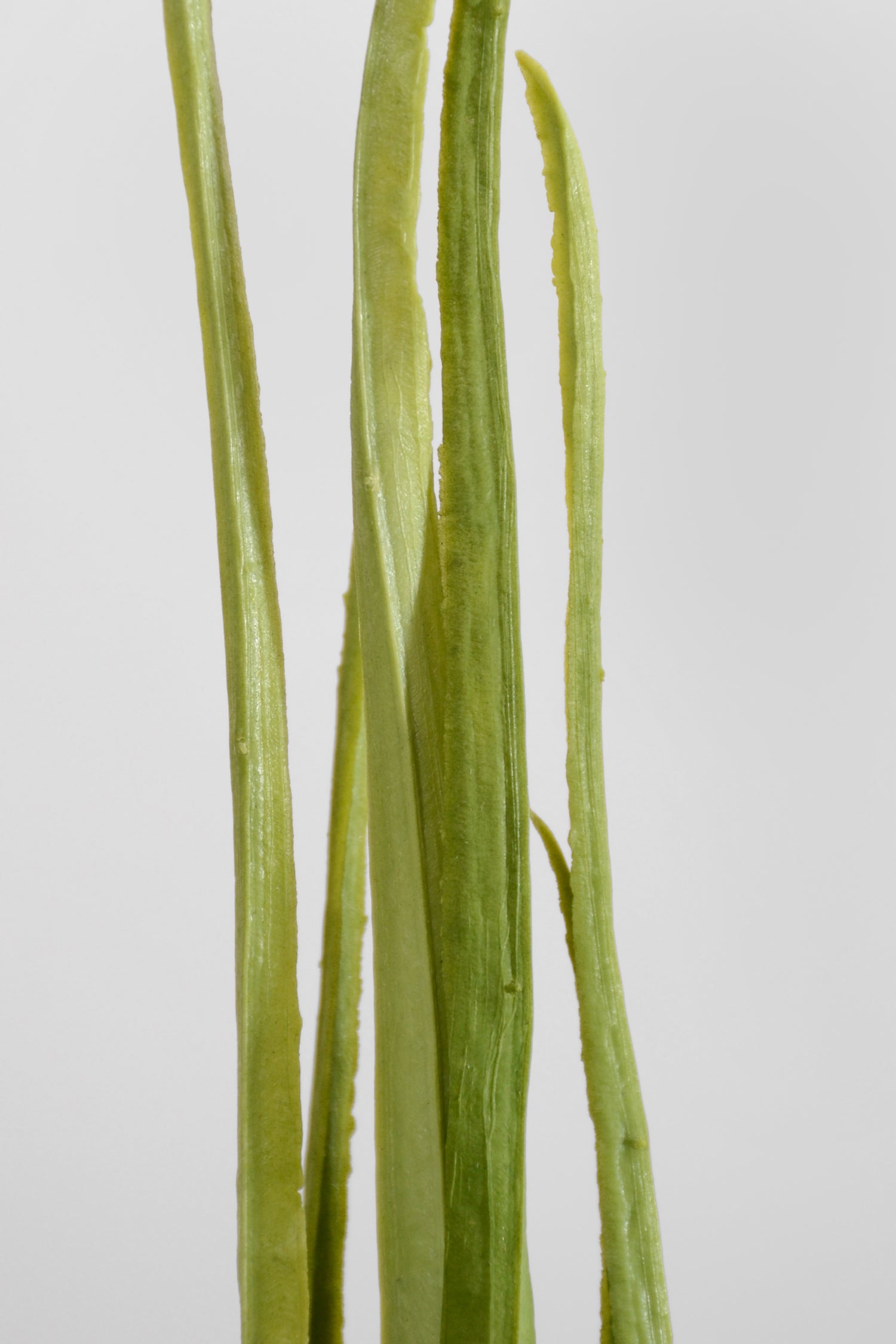 26" Artificial Soft Grass Bush Green