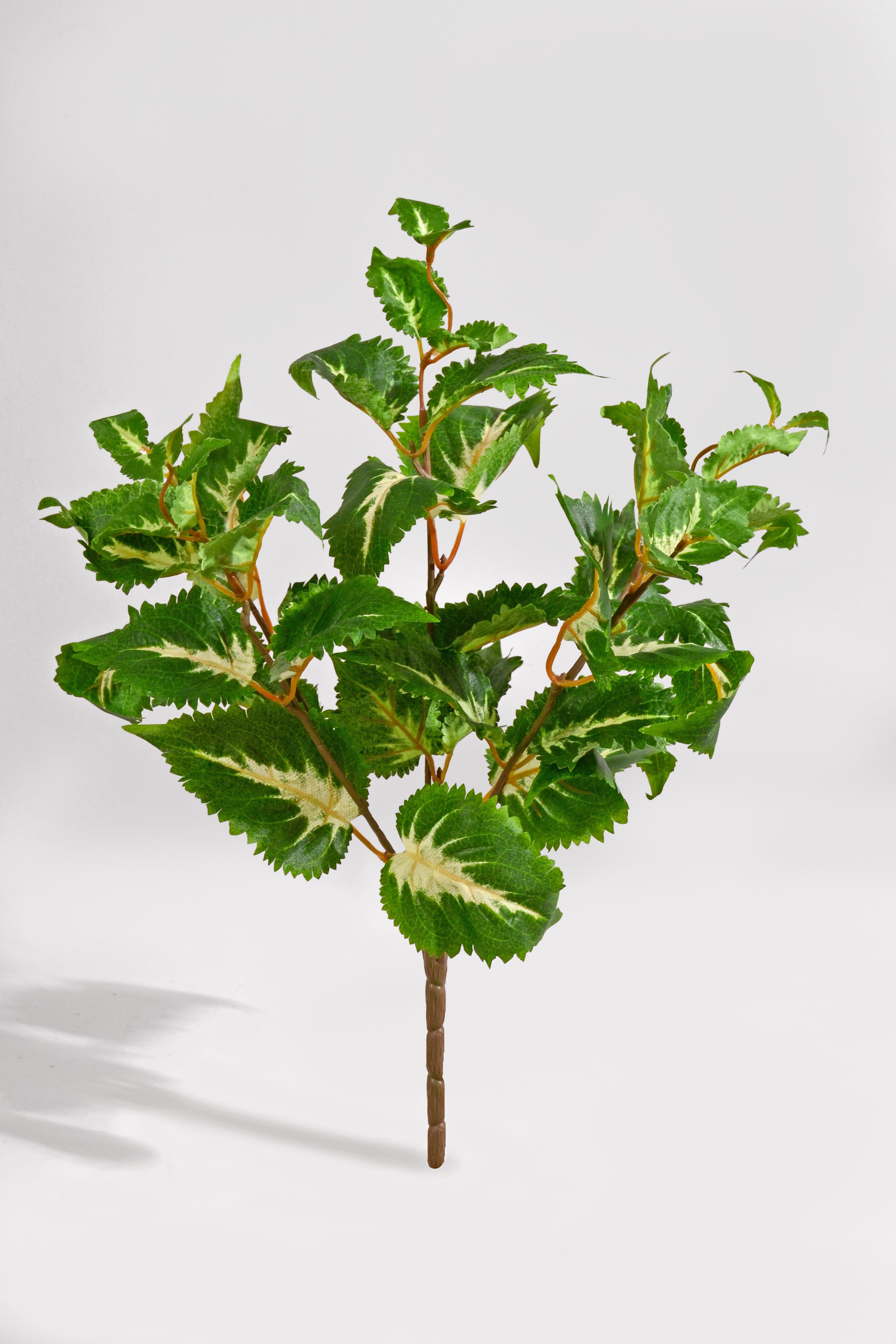 16" Uv Artificial Protected Coleus Bush Green/Cream
