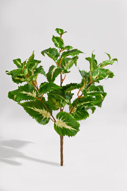 16" Uv Artificial Protected Coleus Bush Green/Cream