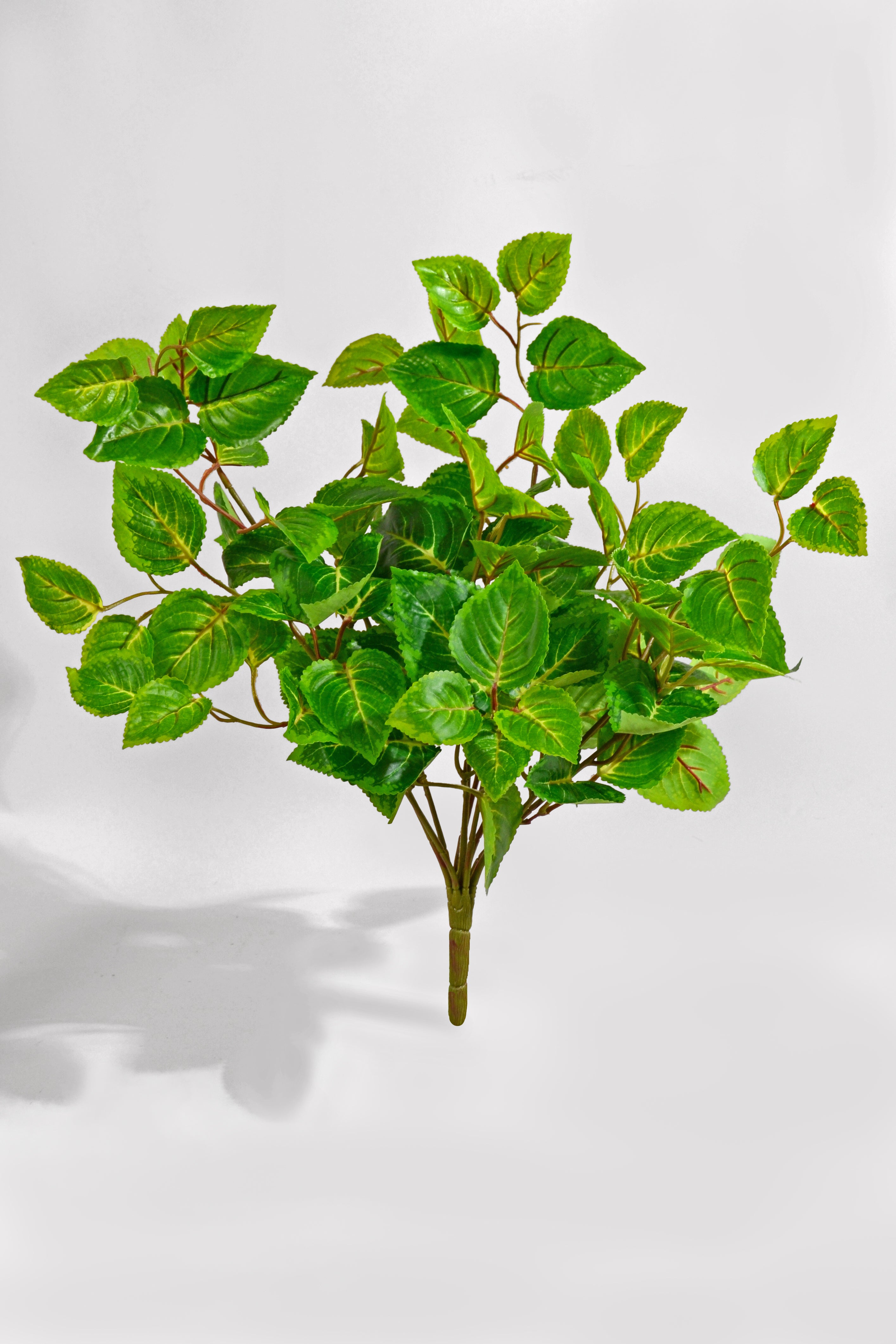 20" Uv Artificial Protected Coleus Bush Green/Cream