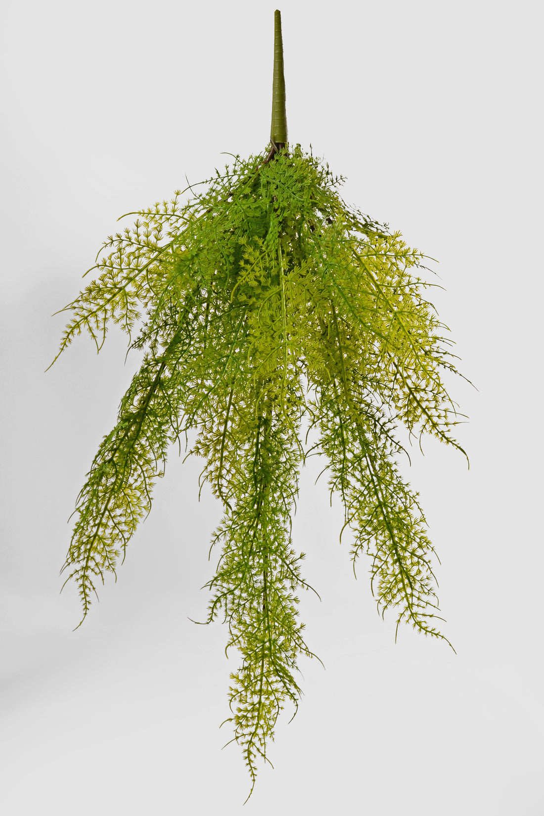 28" Uv Artificial Asparagus Fern Hanging Bush Green