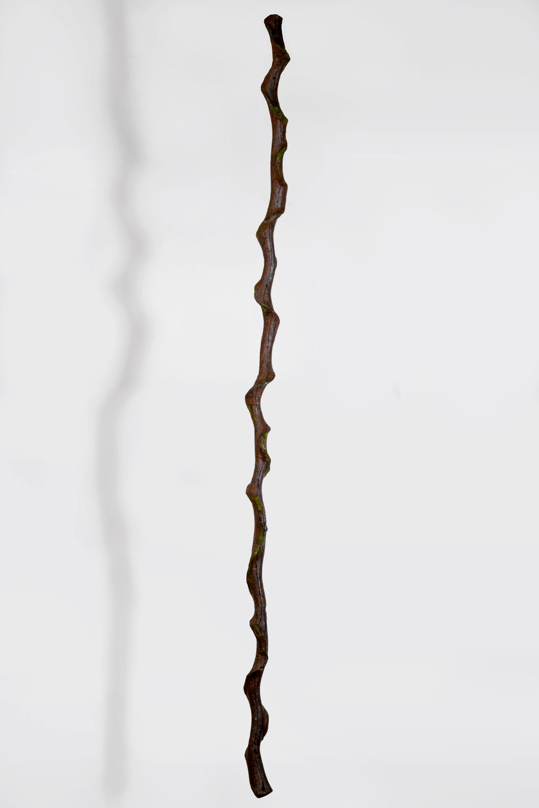 86" Entada Stem W/Moss Brown/Green