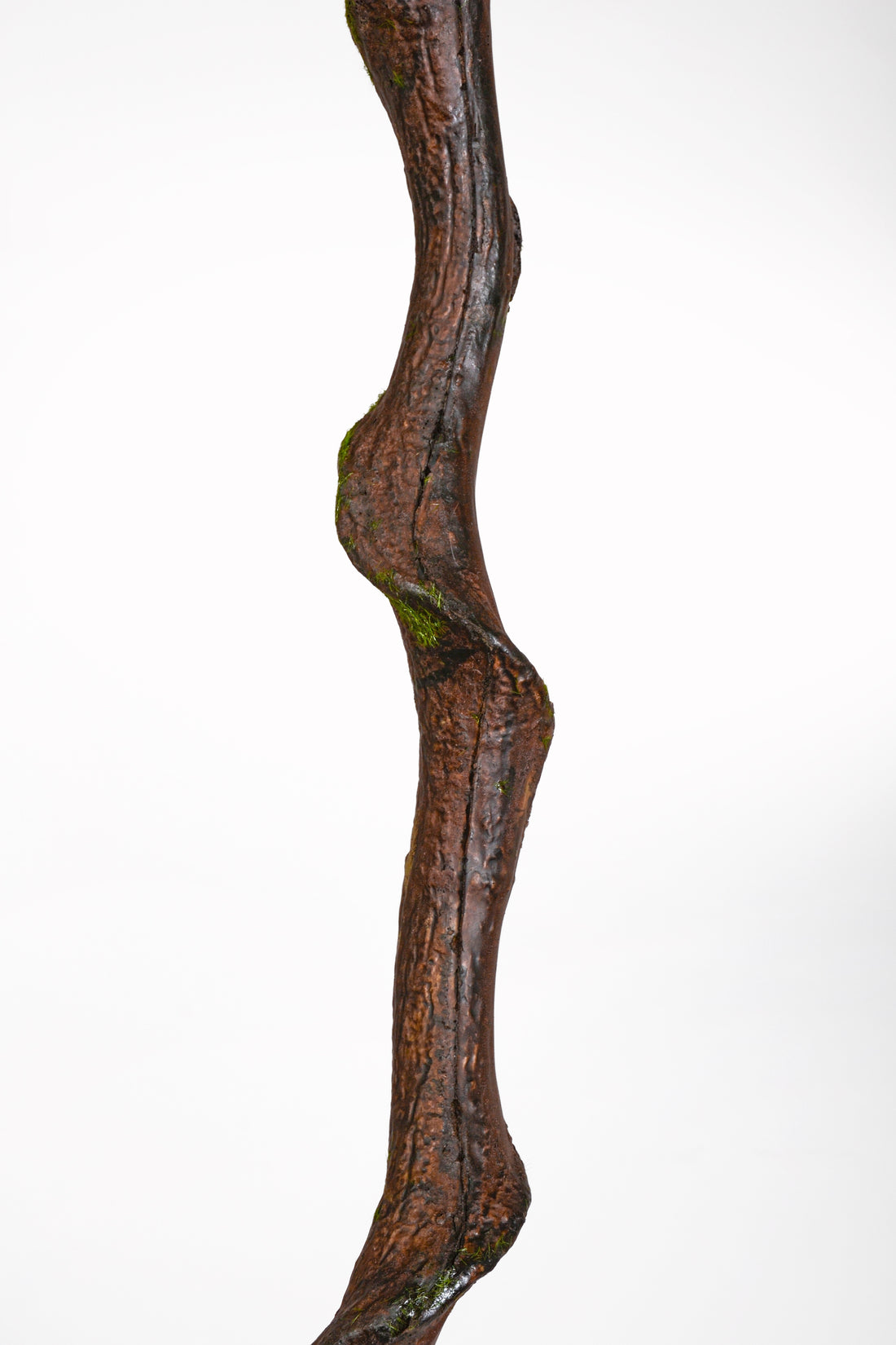 86" Entada Stem W/Moss Brown/Green