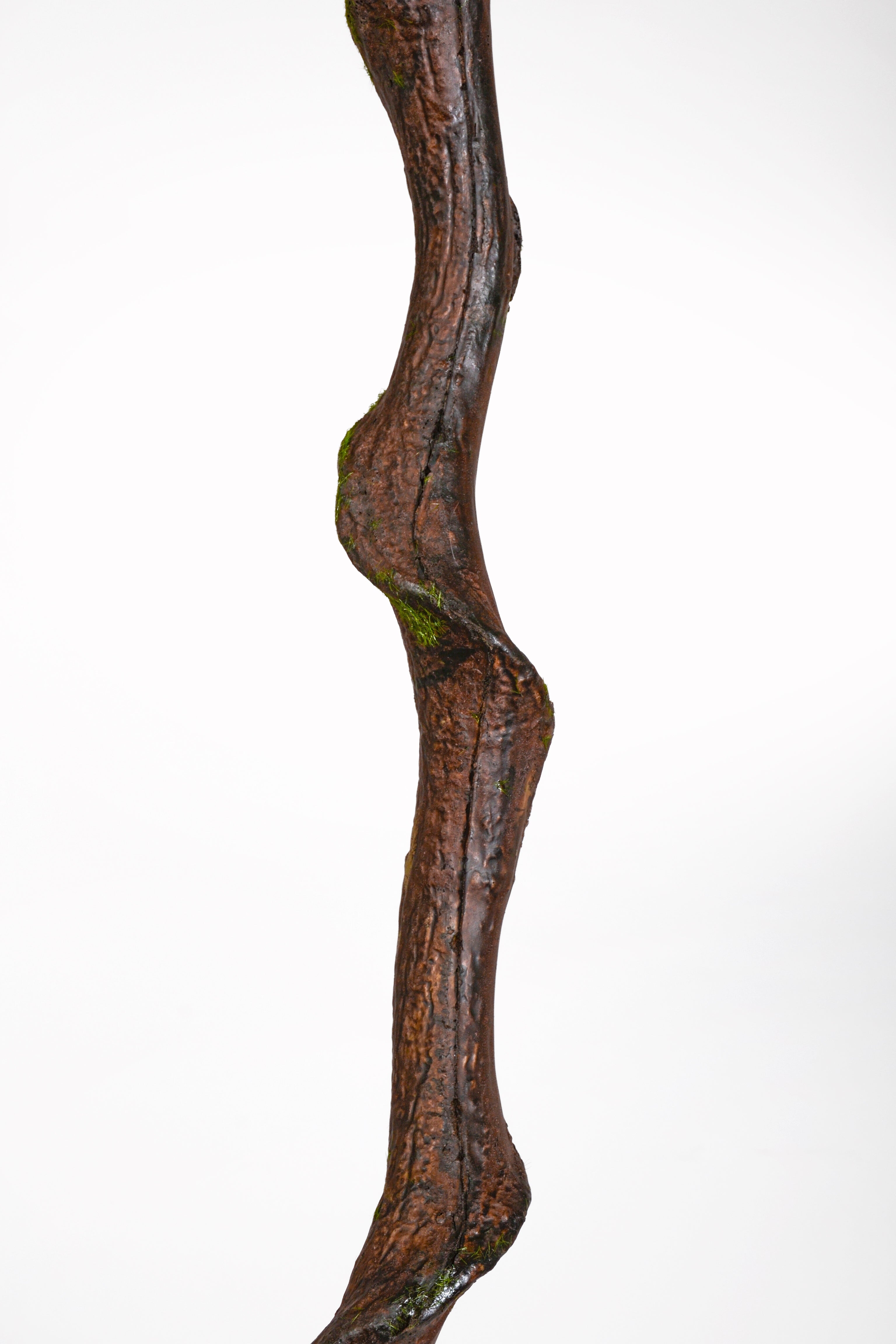 86" Entada Stem W/Moss Brown/Green