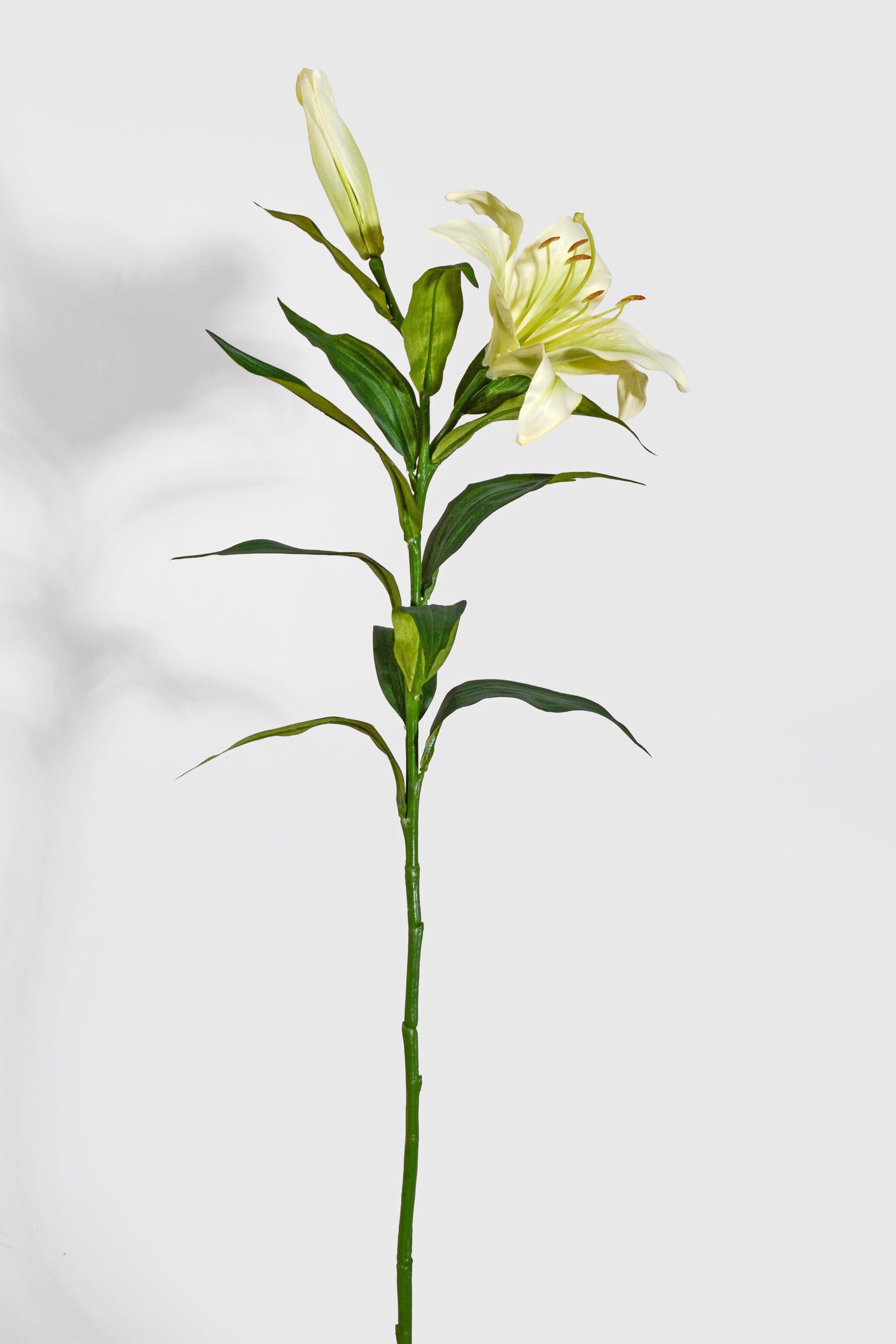 35" Silk Stargazer Lily Spray Green