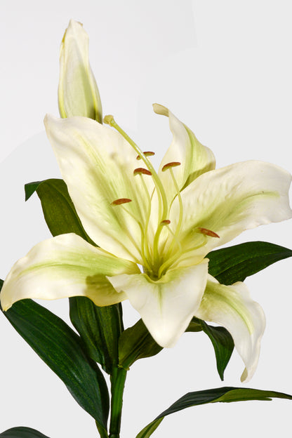 35" Silk Stargazer Lily Spray Green