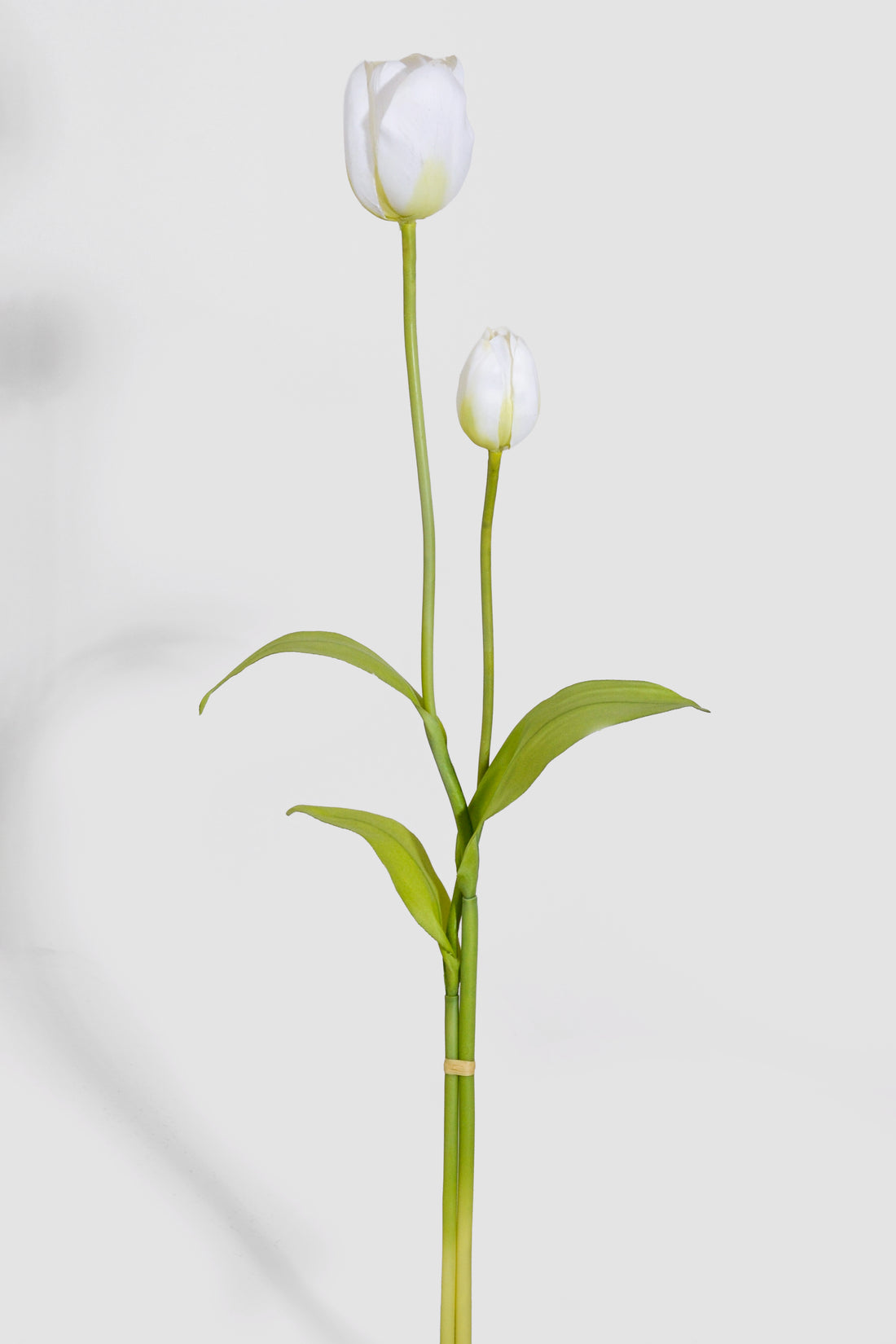 20" &amp; 24" Tulip Spray Bundle White