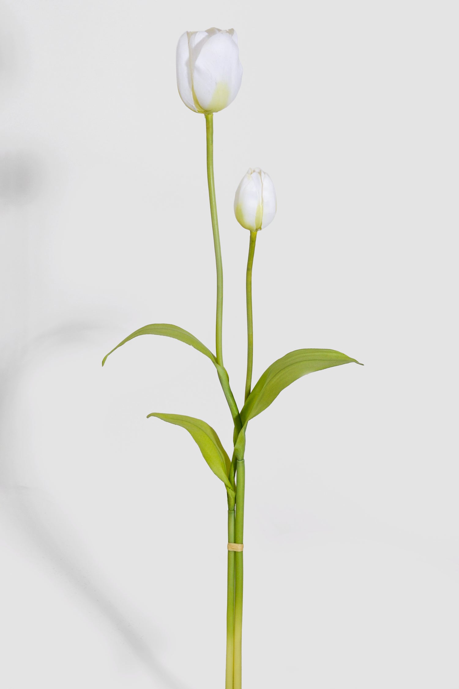 20" &amp; 24" Tulip Spray Bundle White